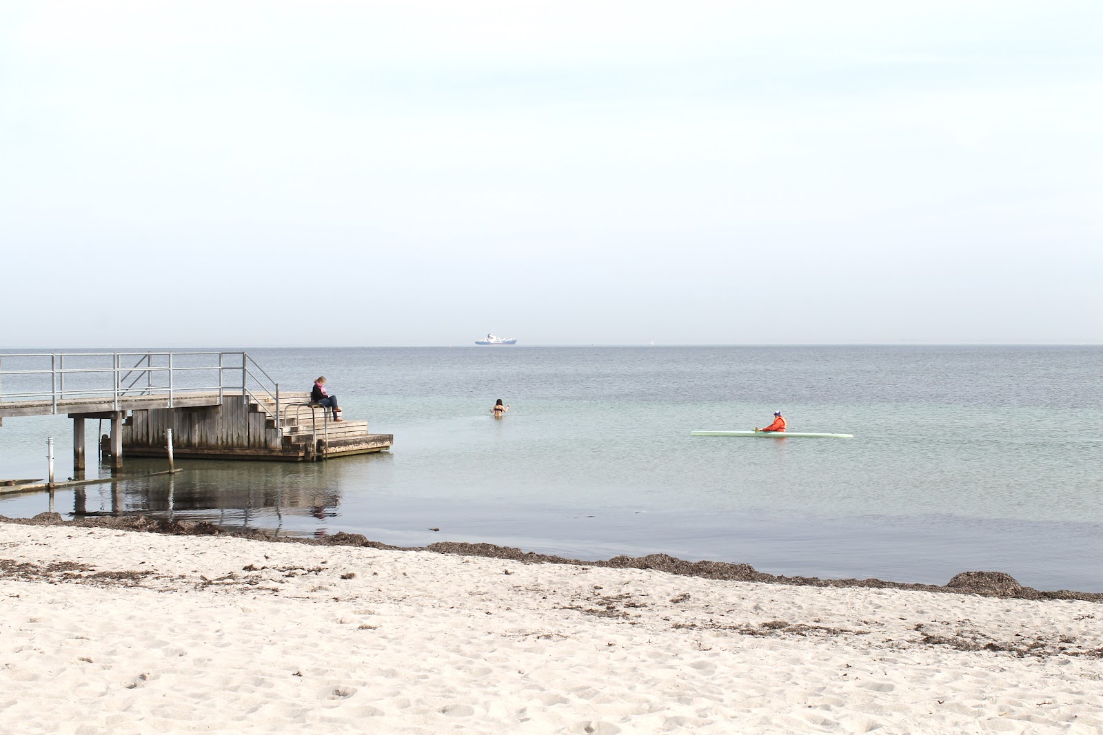 Huge house beach and Copenhagen Houses for Rent in Hellerup