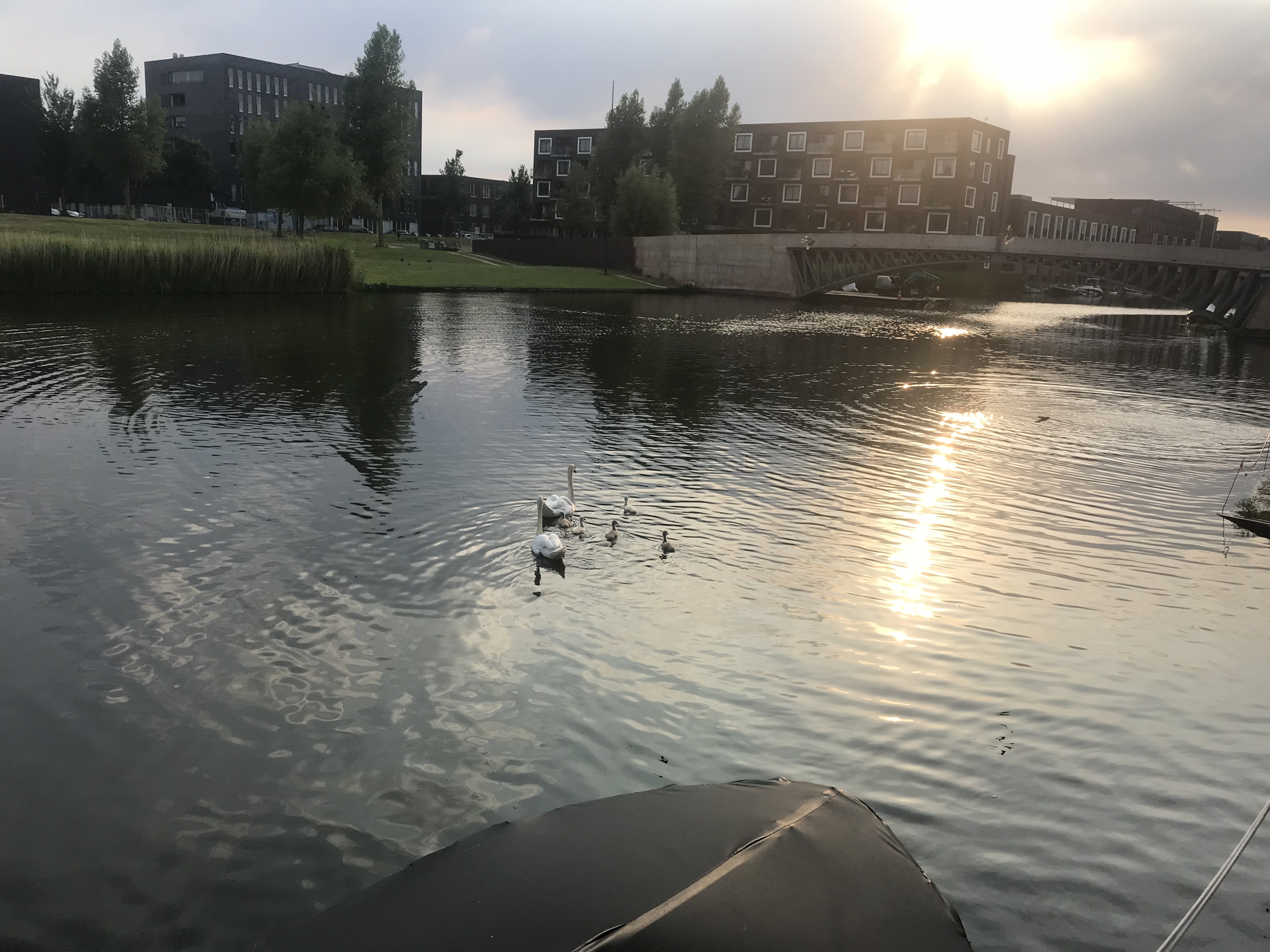 Lovely spacious waterfront home with garden! — Amsterdam stay