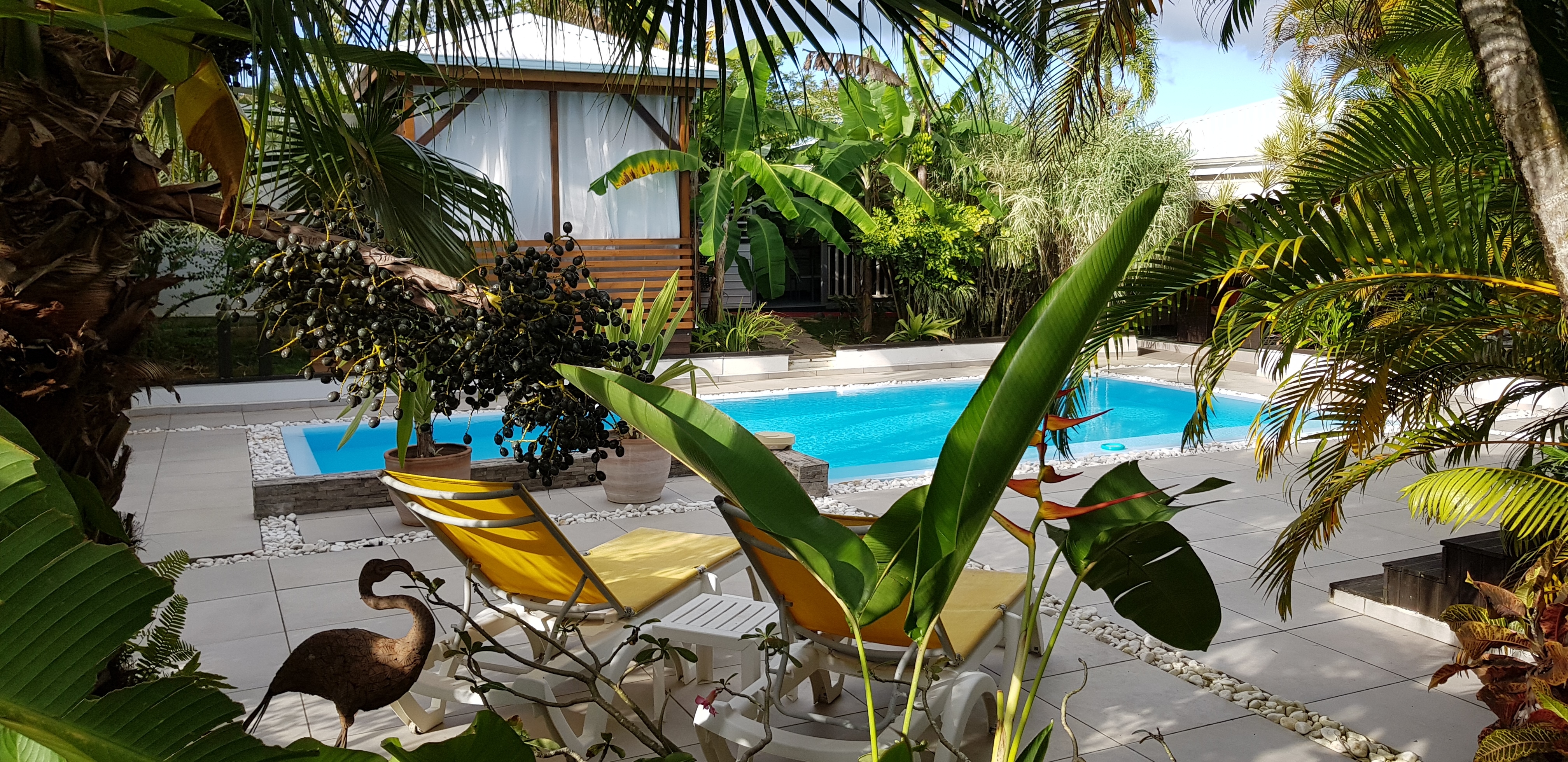 Espace Tropical - Relax, Unwind & Explore -