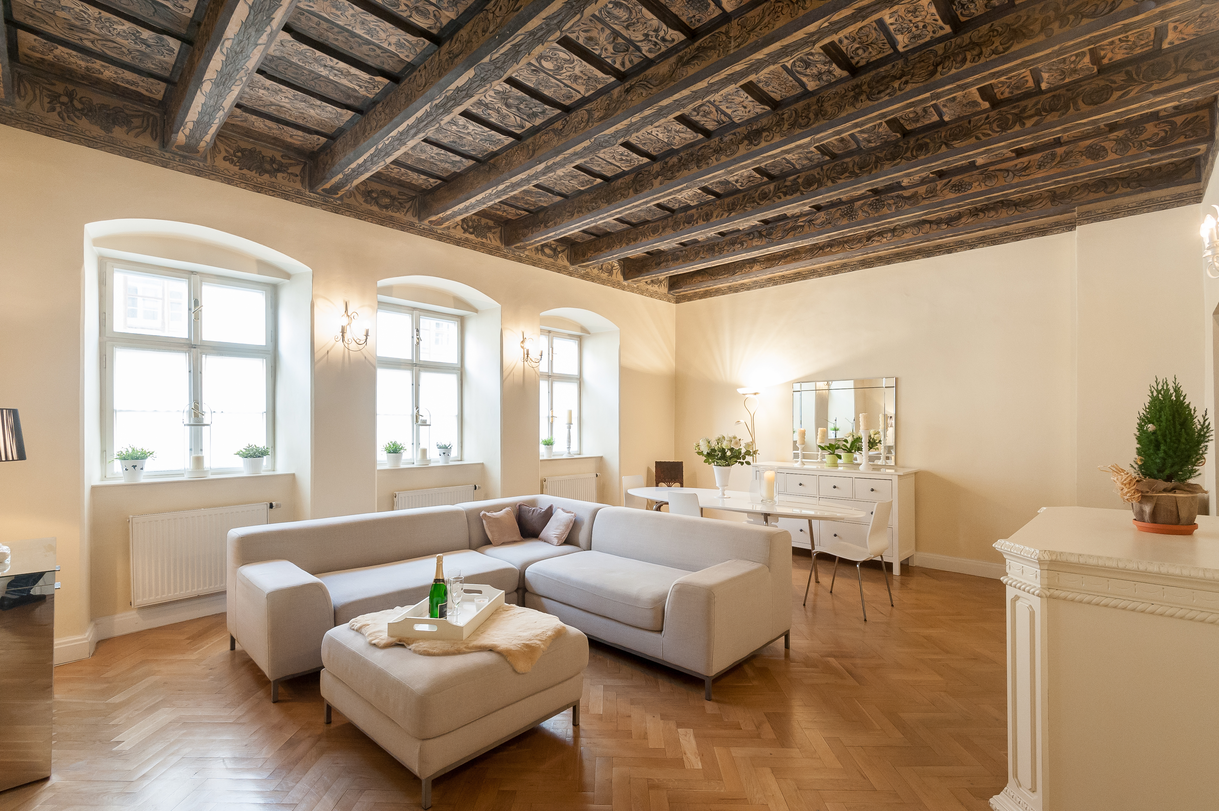 Beautiful and historic apartment