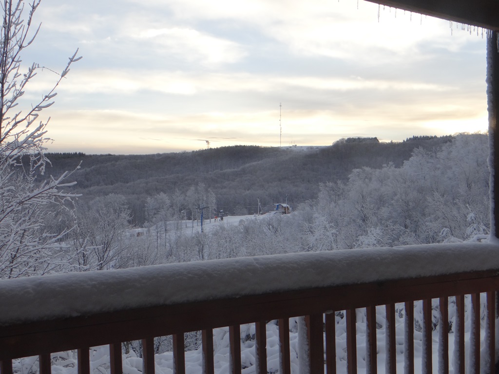 Winterplace Condo! Ski In Ski Out First Floor E101 Condominiums for