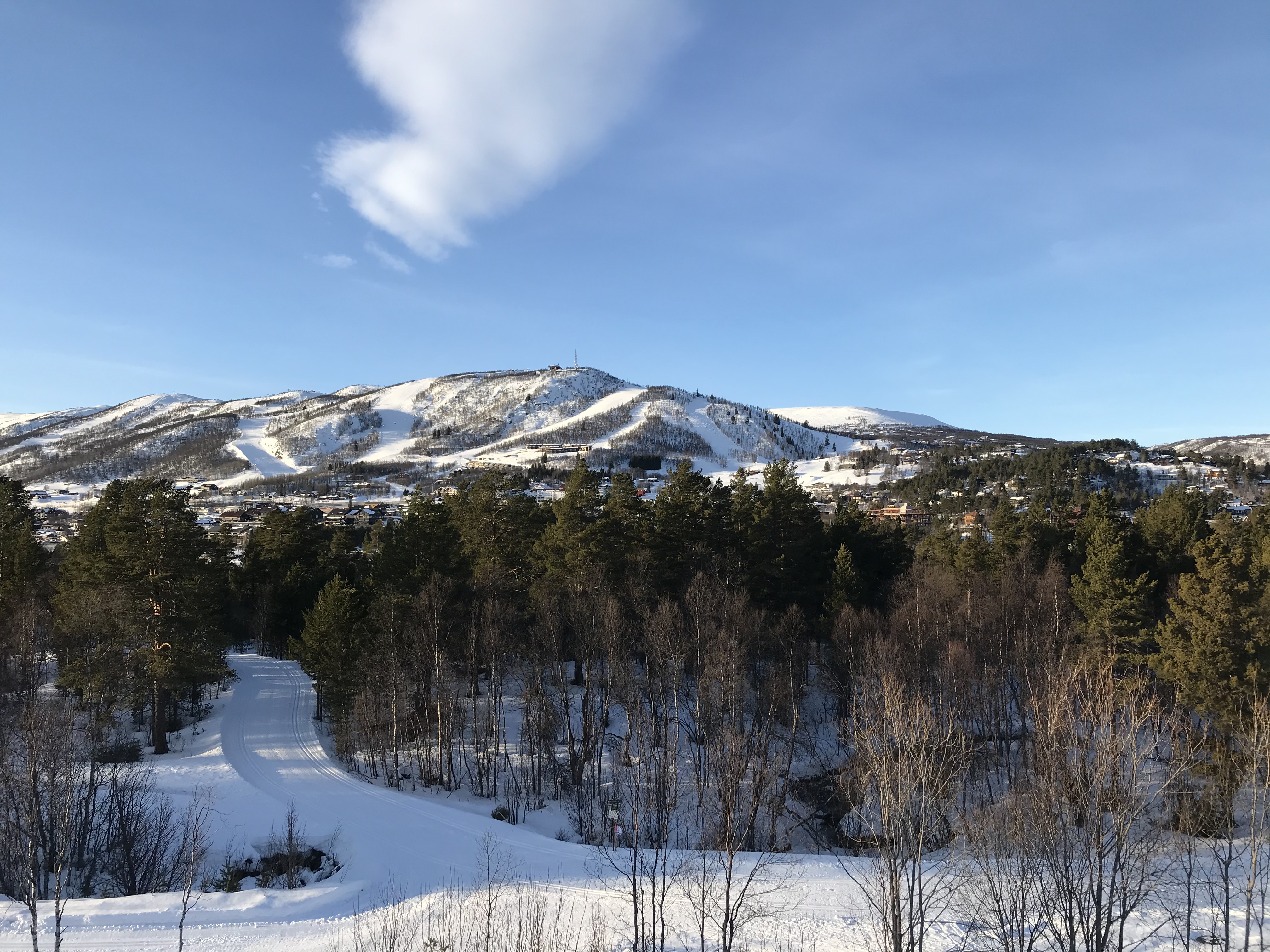 Central apartment at Geilo 50m from cross country track.
