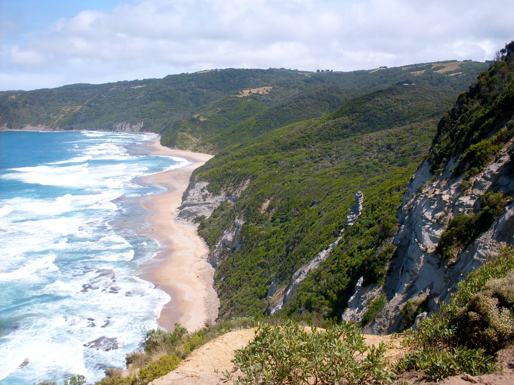 Great Ocean Walk Cottage in Colac Otway, Barwon South West Vic