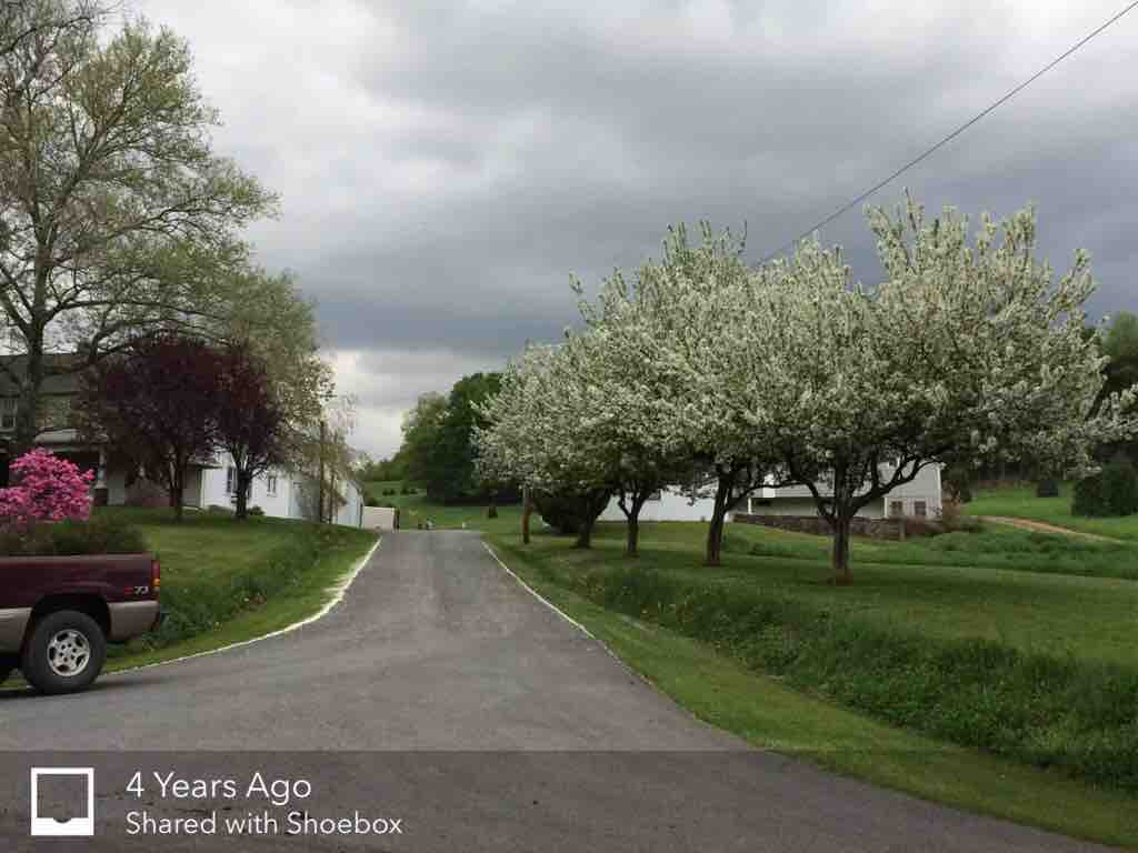 Mimm's Country Inn Farm stays for Rent in New Ringgold, Pennsylvania, United States Airbnb