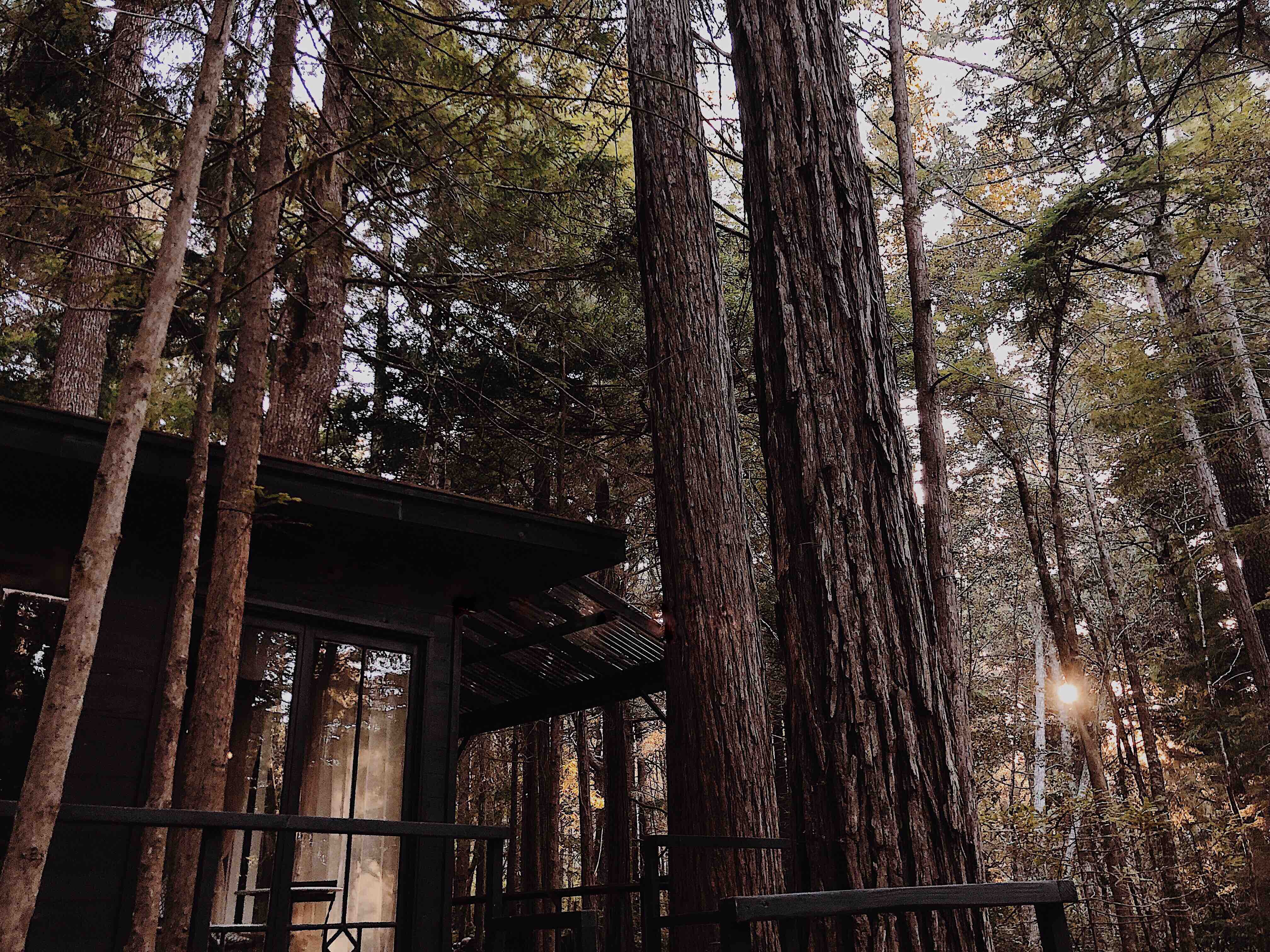 Forest Camping Hut Treehouses For Rent In Elk California United States