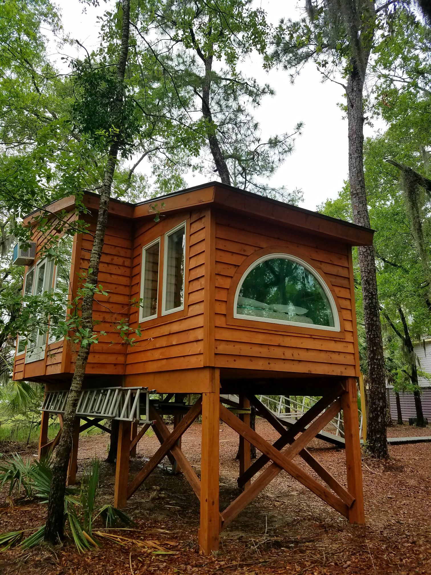 Single Family Homes For Rent In Beaufort Sc - 6laspsz