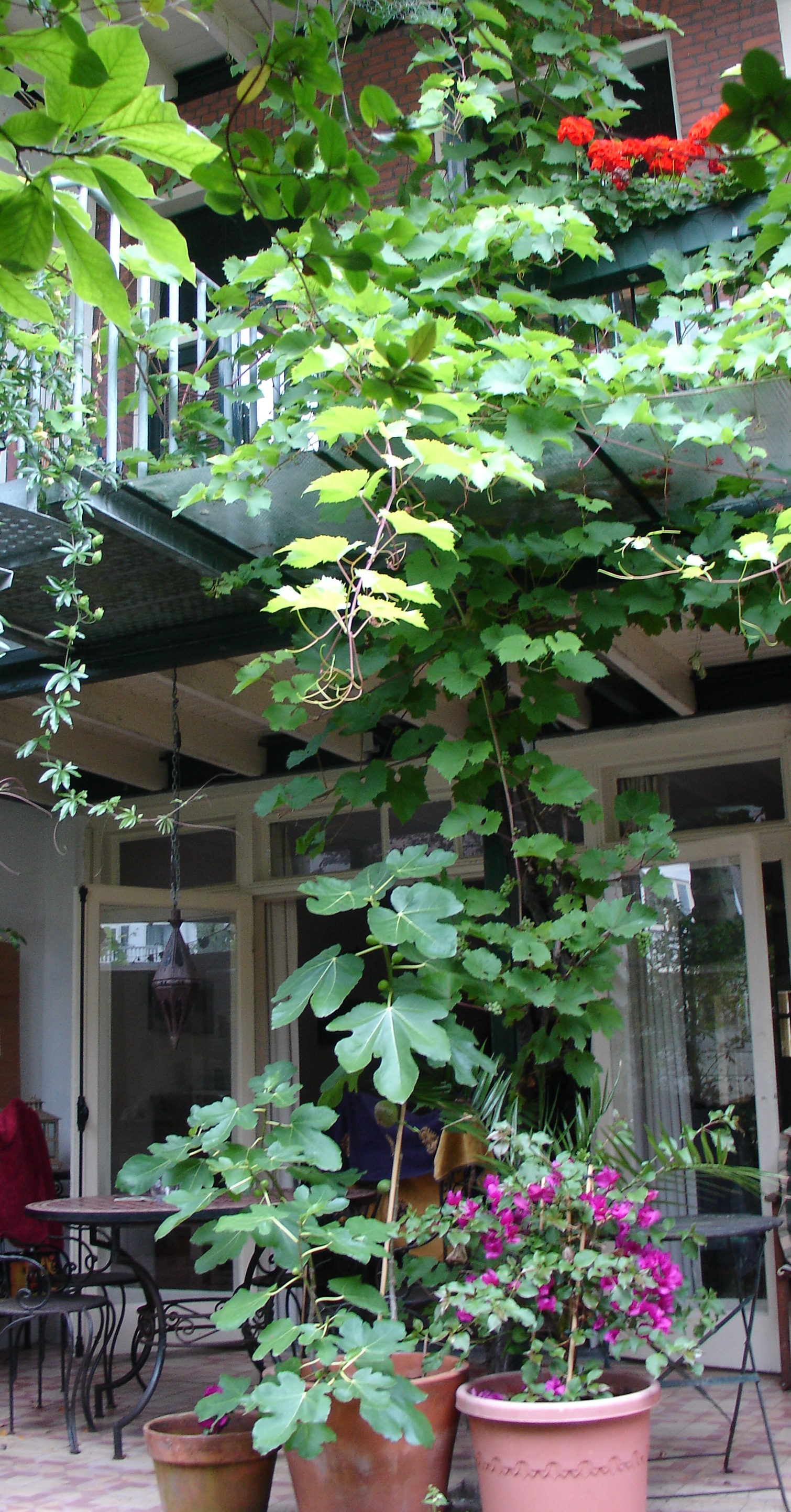 Centraal gelegen duplexwoning — The Hague stay