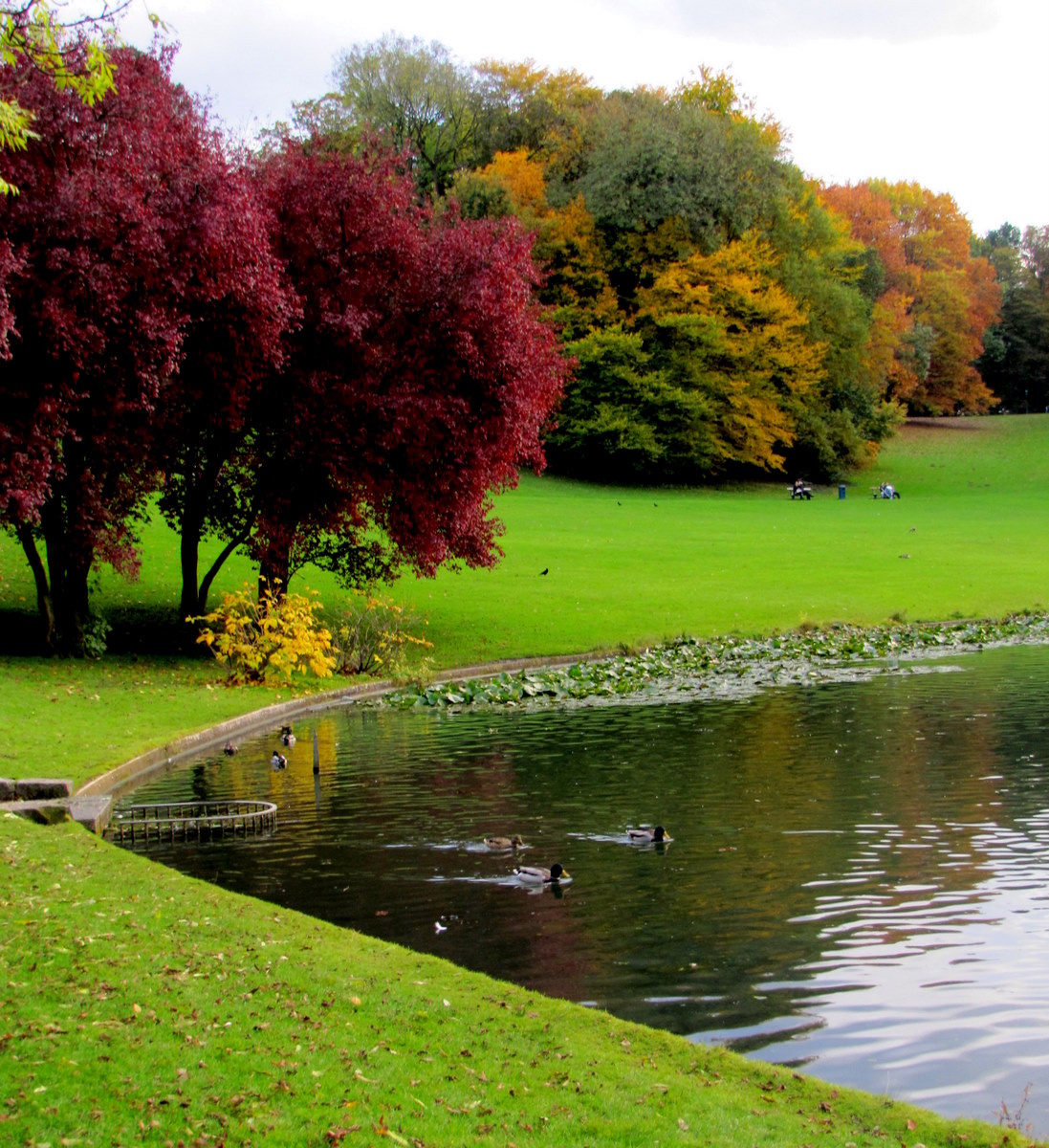 Lovely flat in a green central area in Woluwe-Saint-Pierre, Brussels
