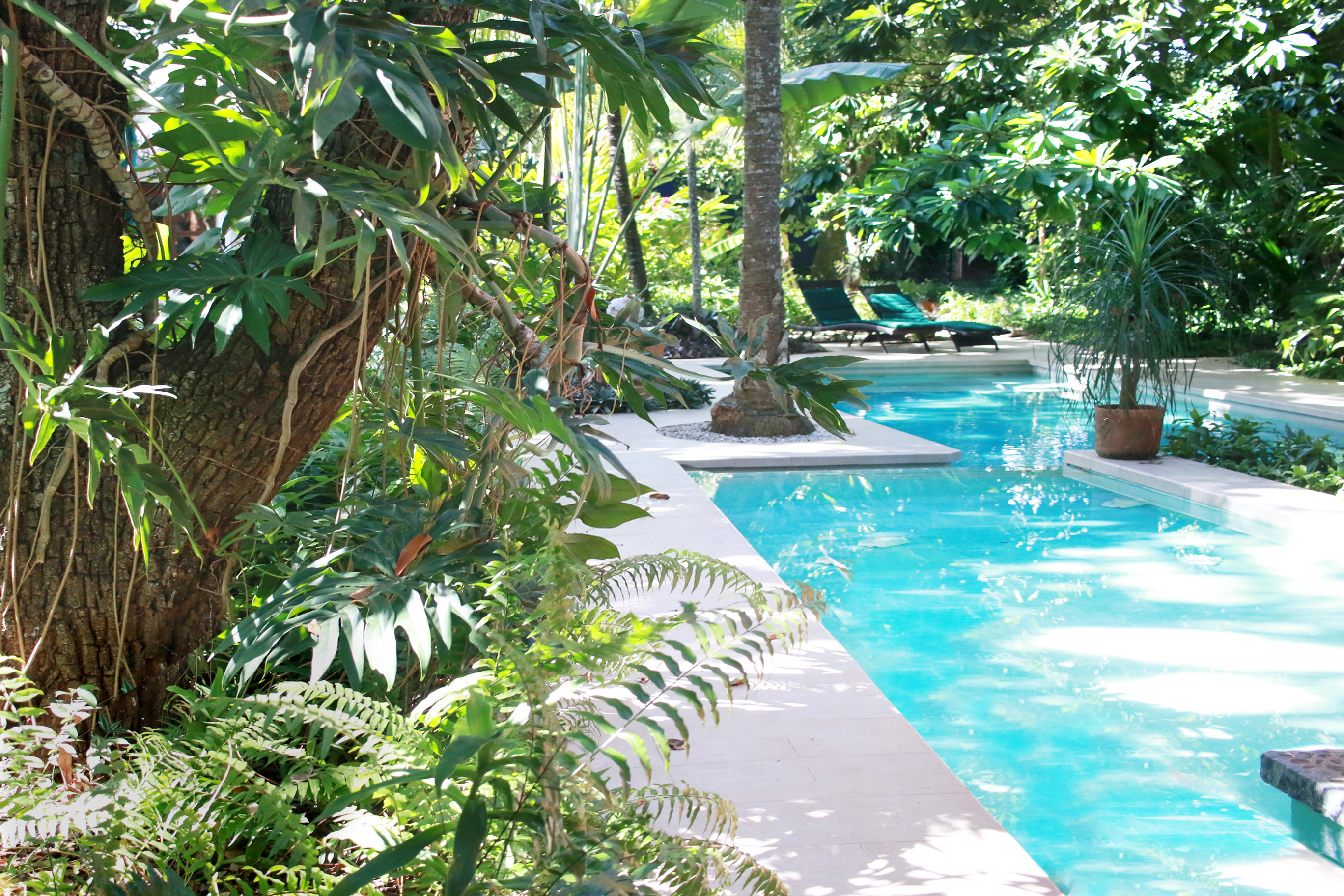 Eco Unit in Large Tropical Garden with Pool