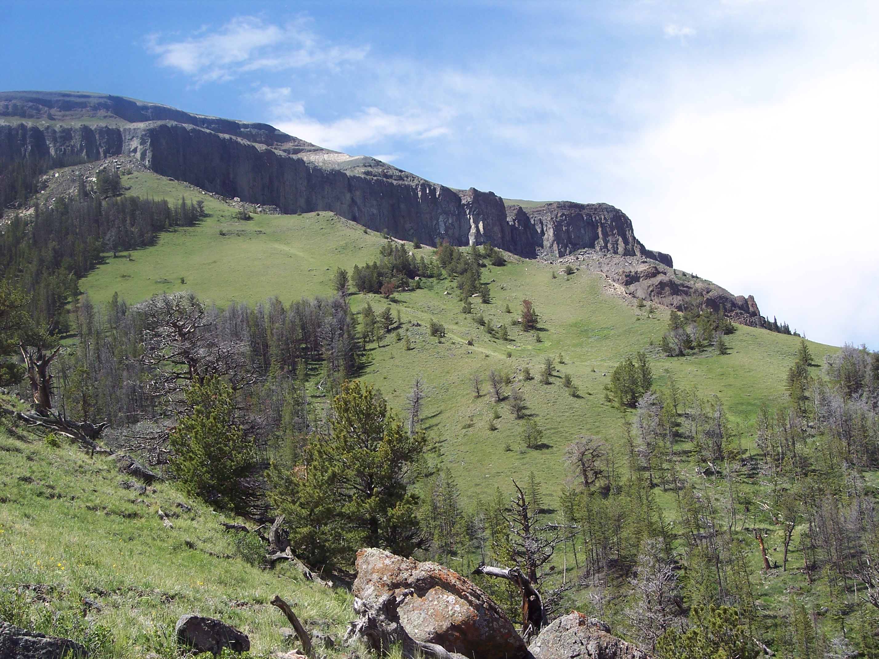 Homestead Ranch Cabins for Rent in Meeteetse, Wyoming, United States Airbnb