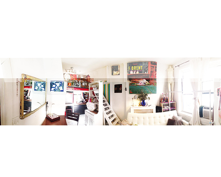 LARGE ARTSY Room w/ Loft Bed 4 DOOGLERS! in Chelsea, New York City