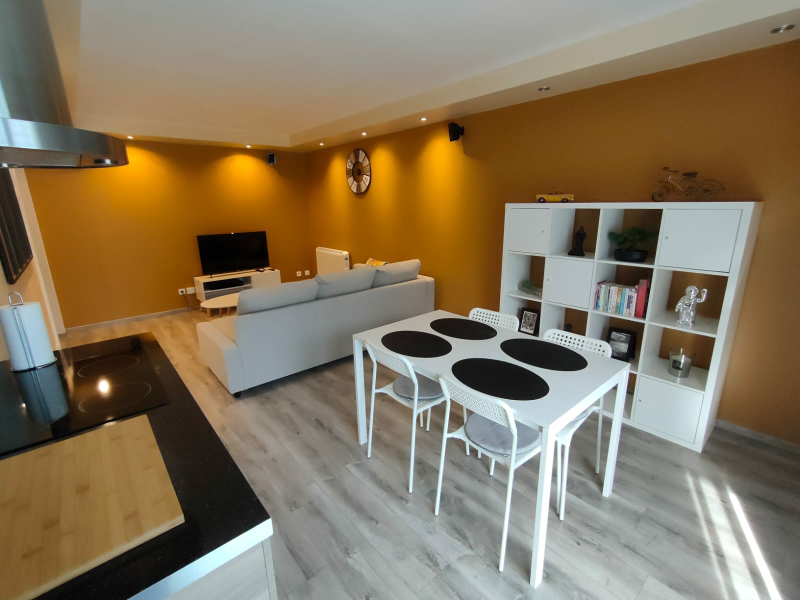 Beautiful apartment DOWNTOWN BLOIS