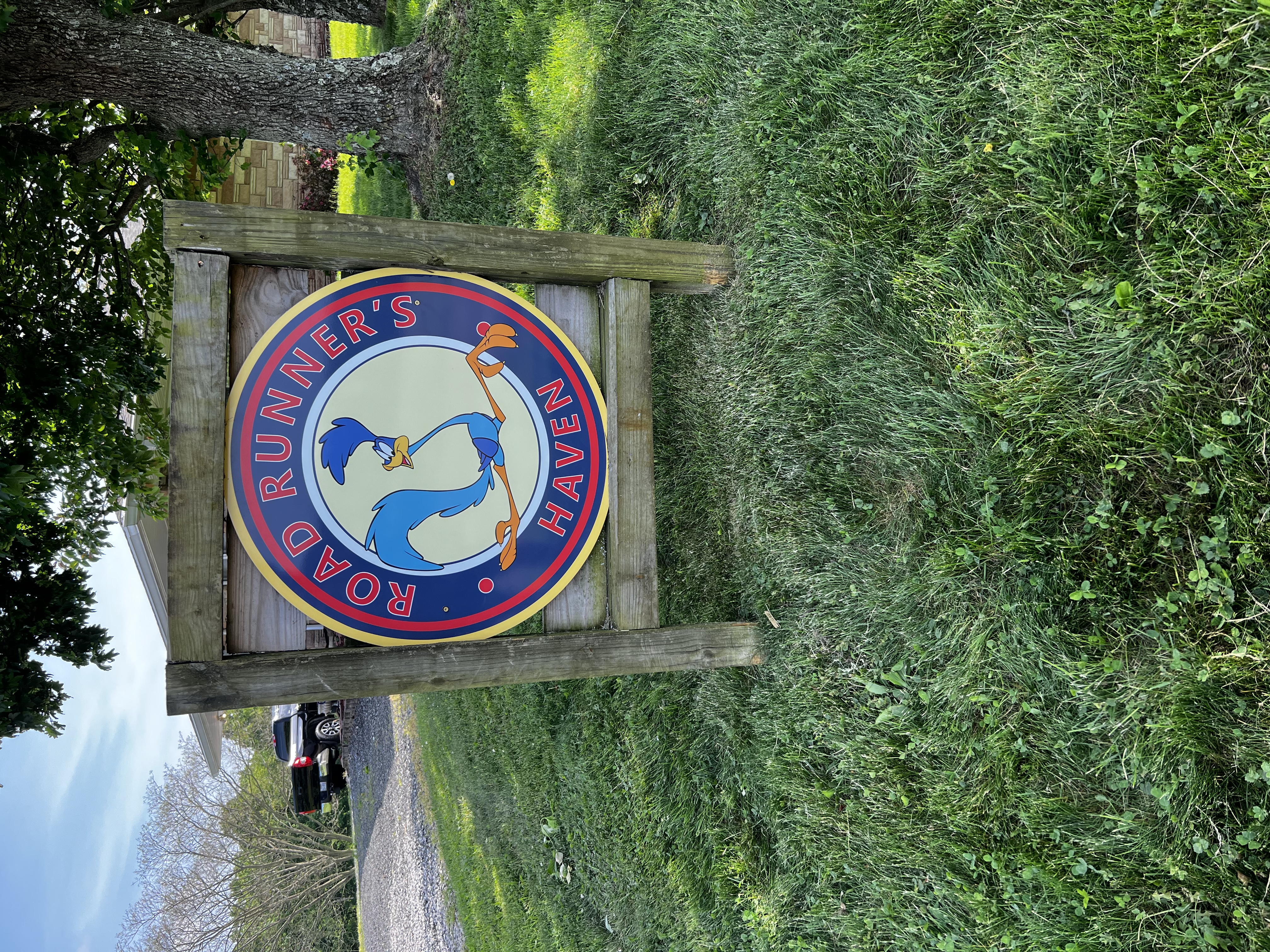 Roadrunner's Haven