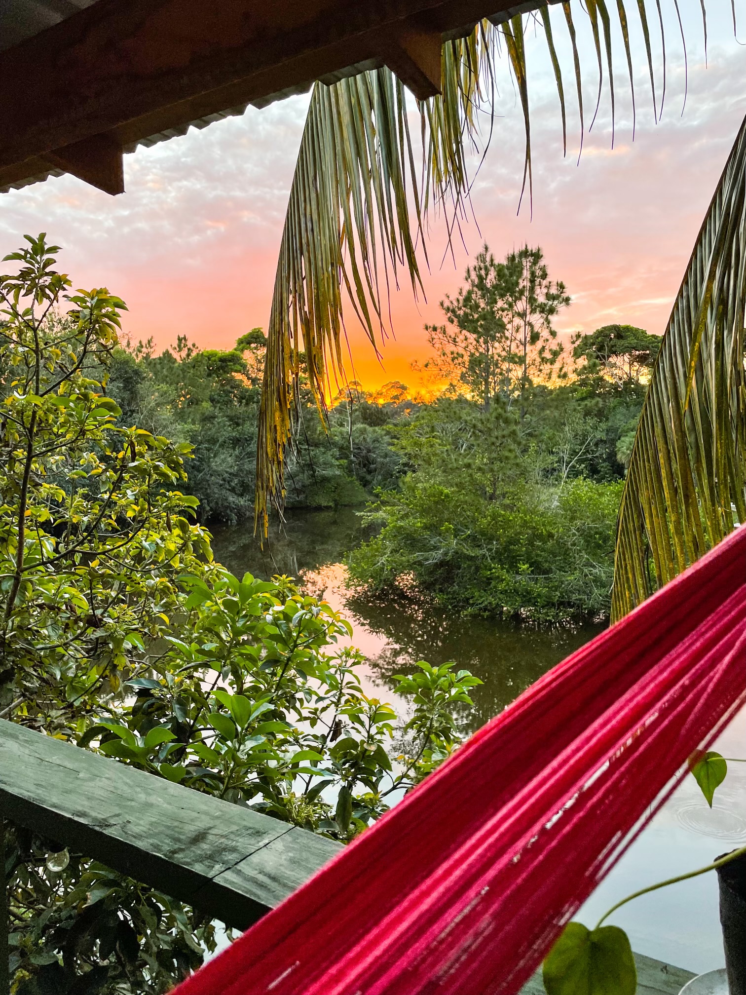 Pedestal Monkey Reserve AC/WIFI/FREE SHUTTLE. Houses for Rent in Belize City, Belize District