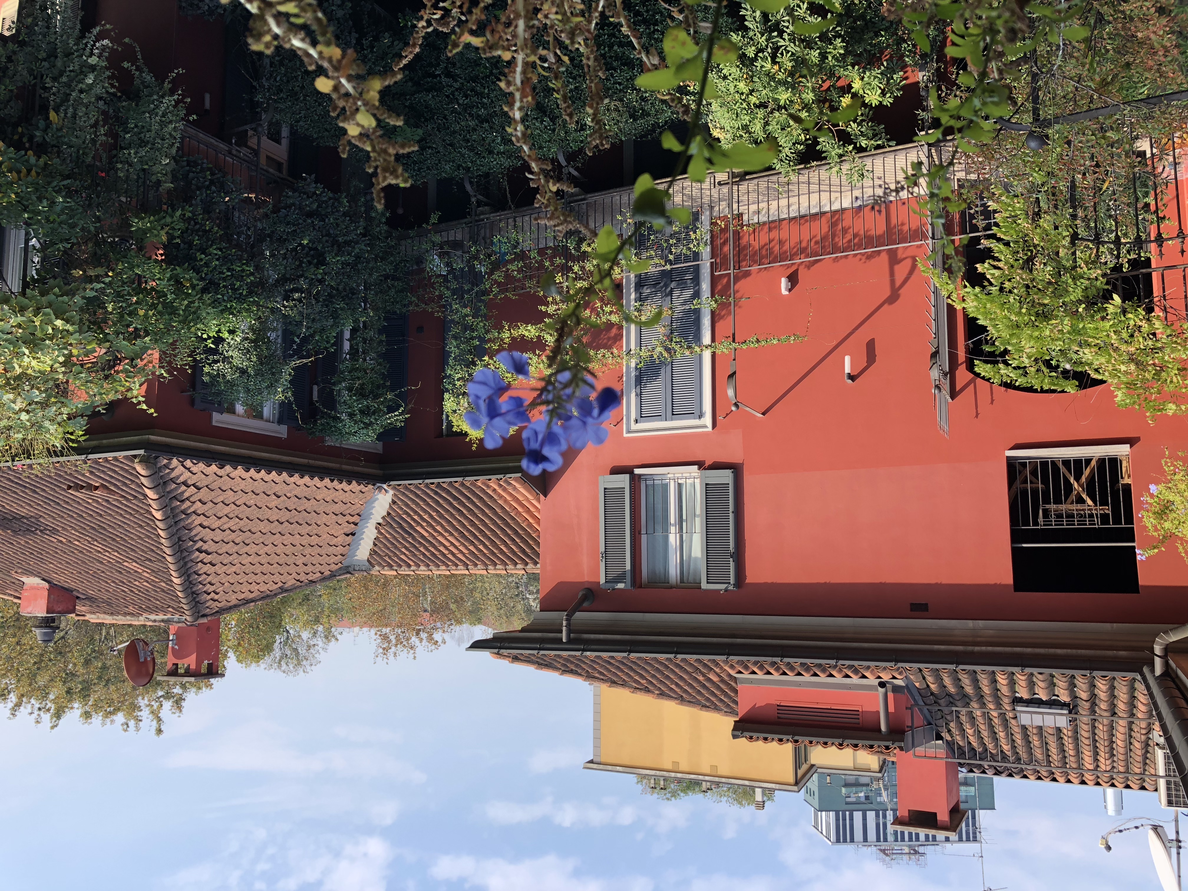 Monolocale immerso nel verde!