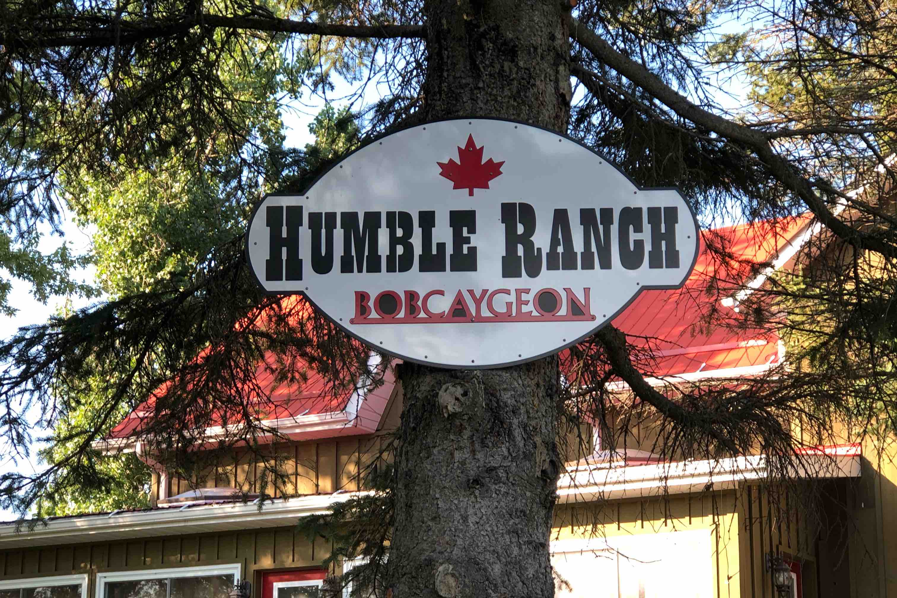 Alpaca and Horse Ranch **Humble Ranch** Cabins for Rent in Kawartha