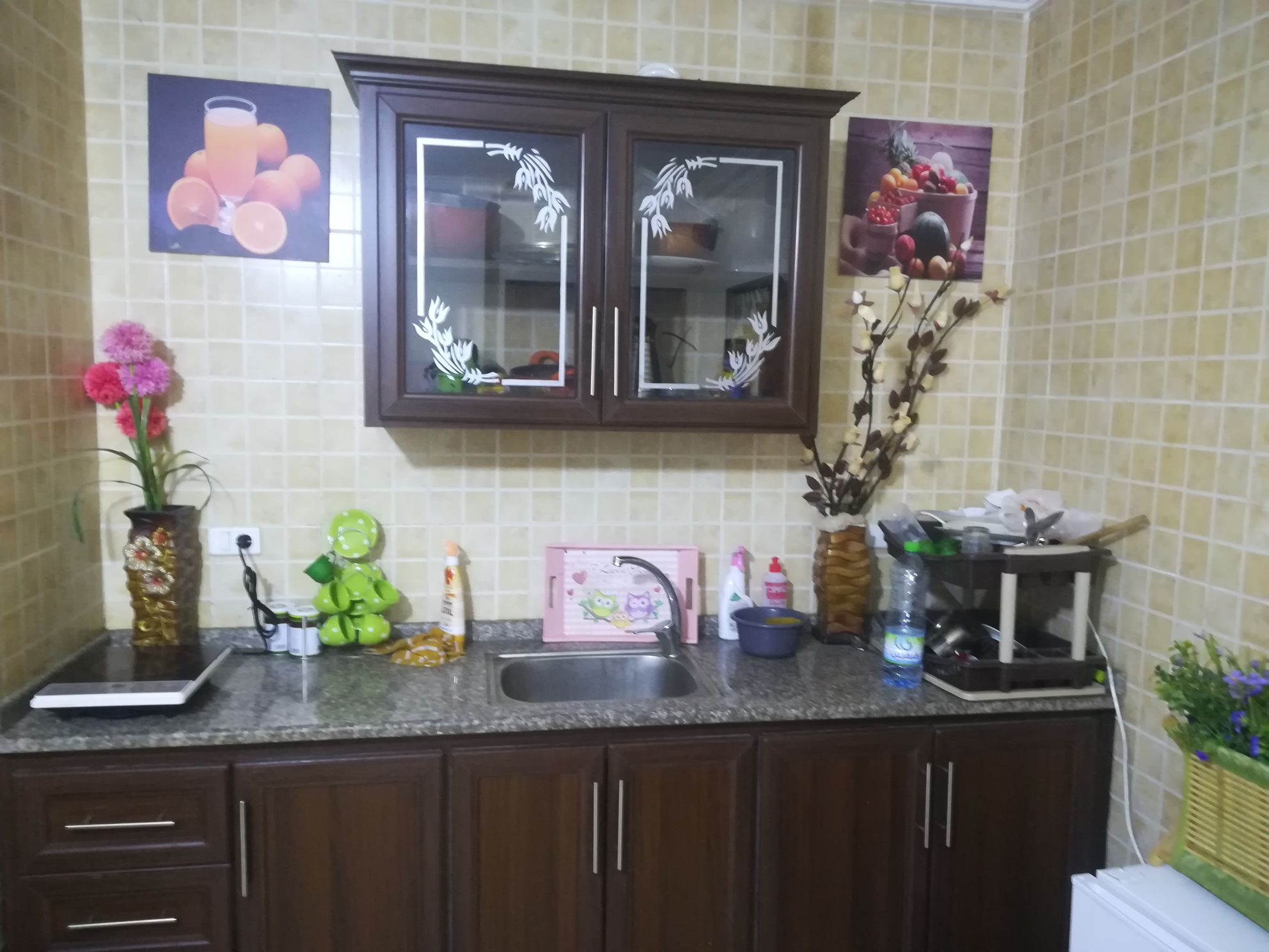 Residential Apartment Daily Rental Weekly Communication 0778253912