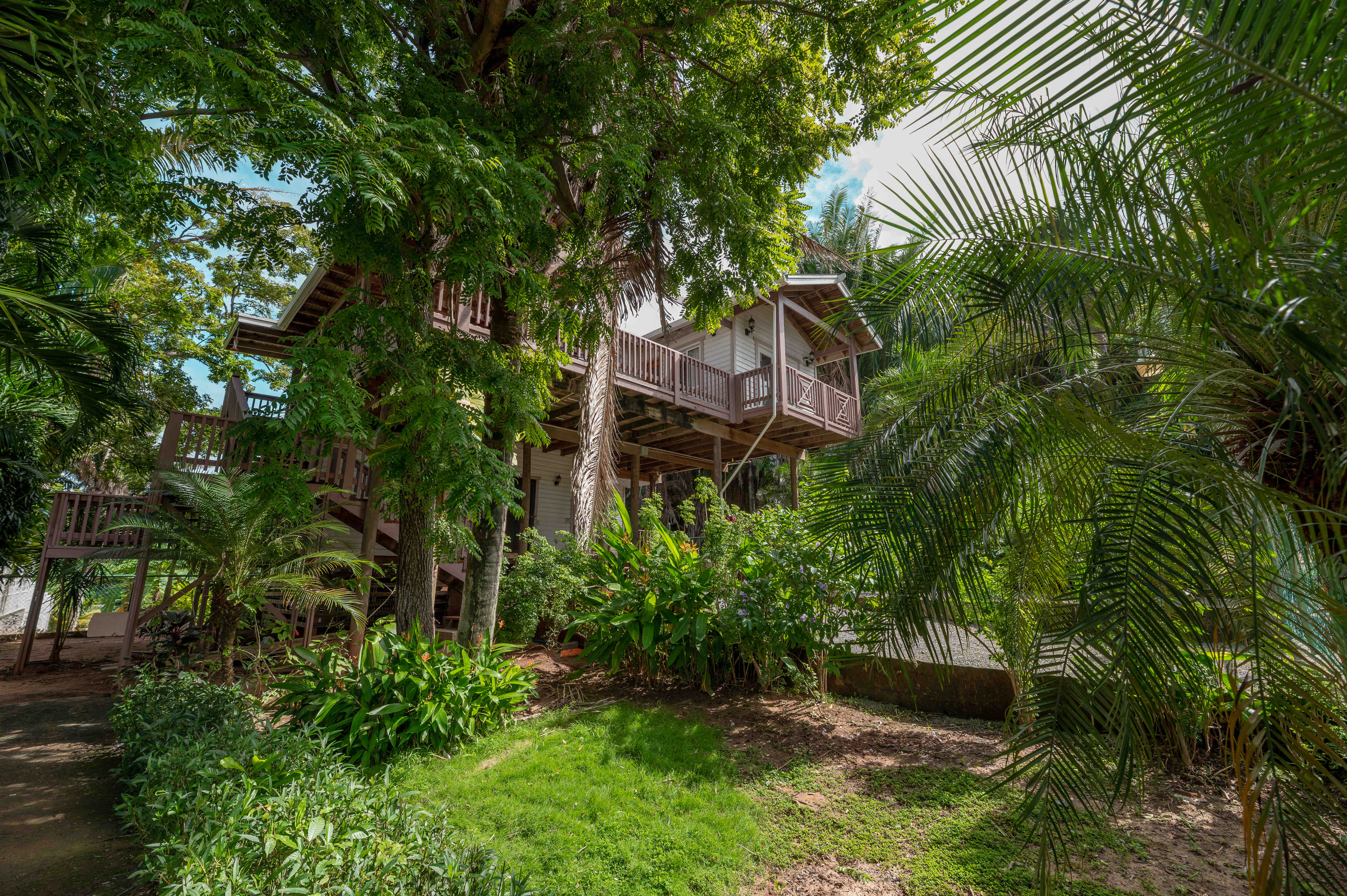 Luxurious Tropical House near Beaches & Dowtown