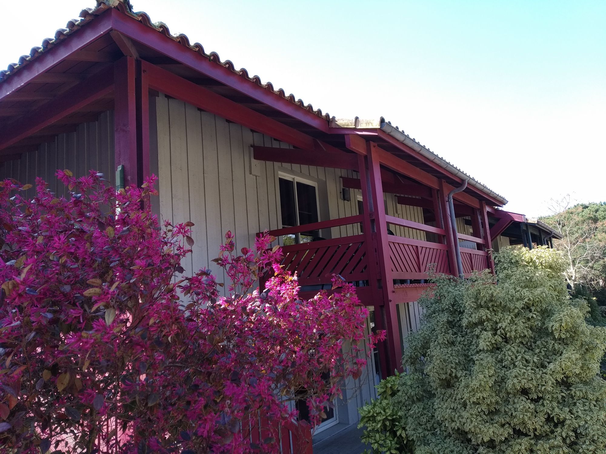 Apartment LE DAOUN Dunes, Pins Océan and Golf