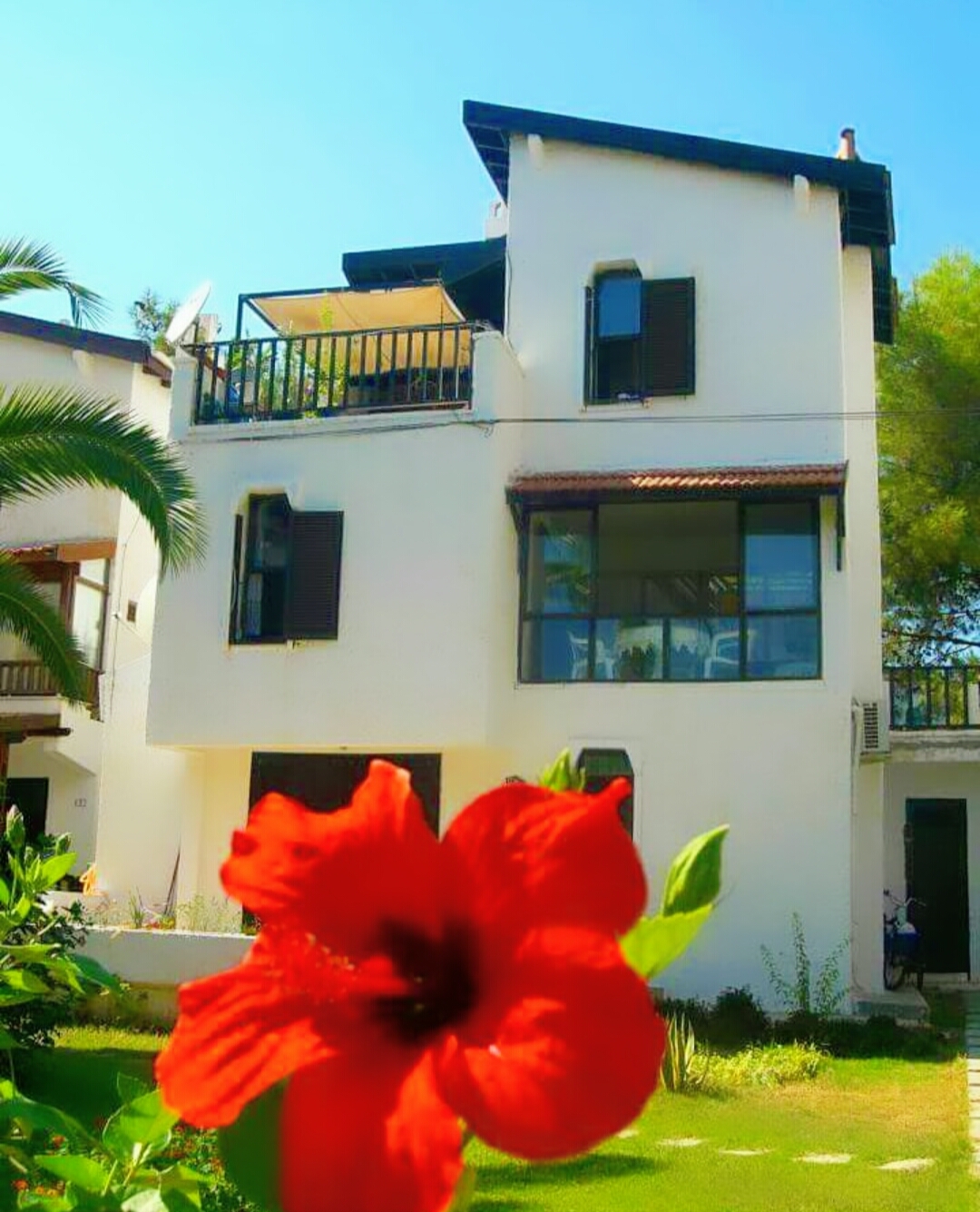 Datça Aktur�da Nilüfer Teras (Denize sadece 5 dk) Aktur, DatçaMuğla