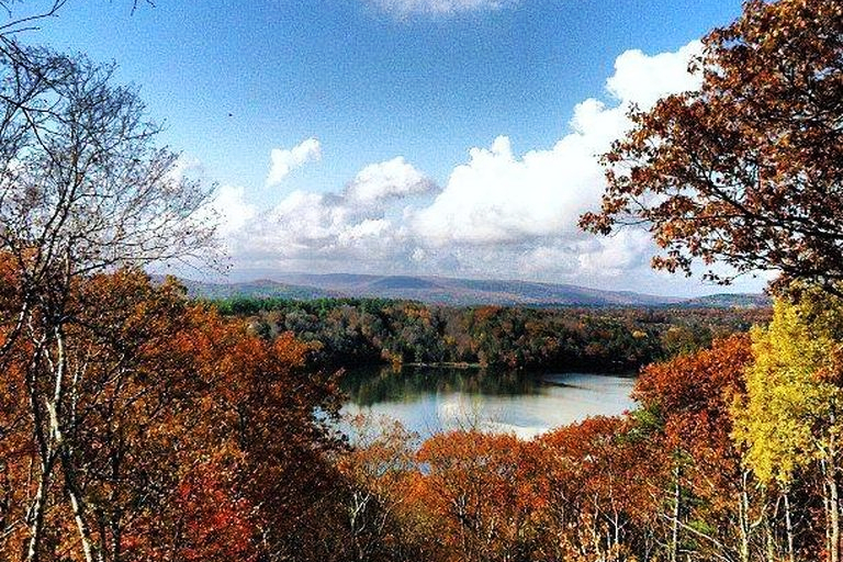 Private, cozy Berkshires retreat w magic view! Houses for Rent in