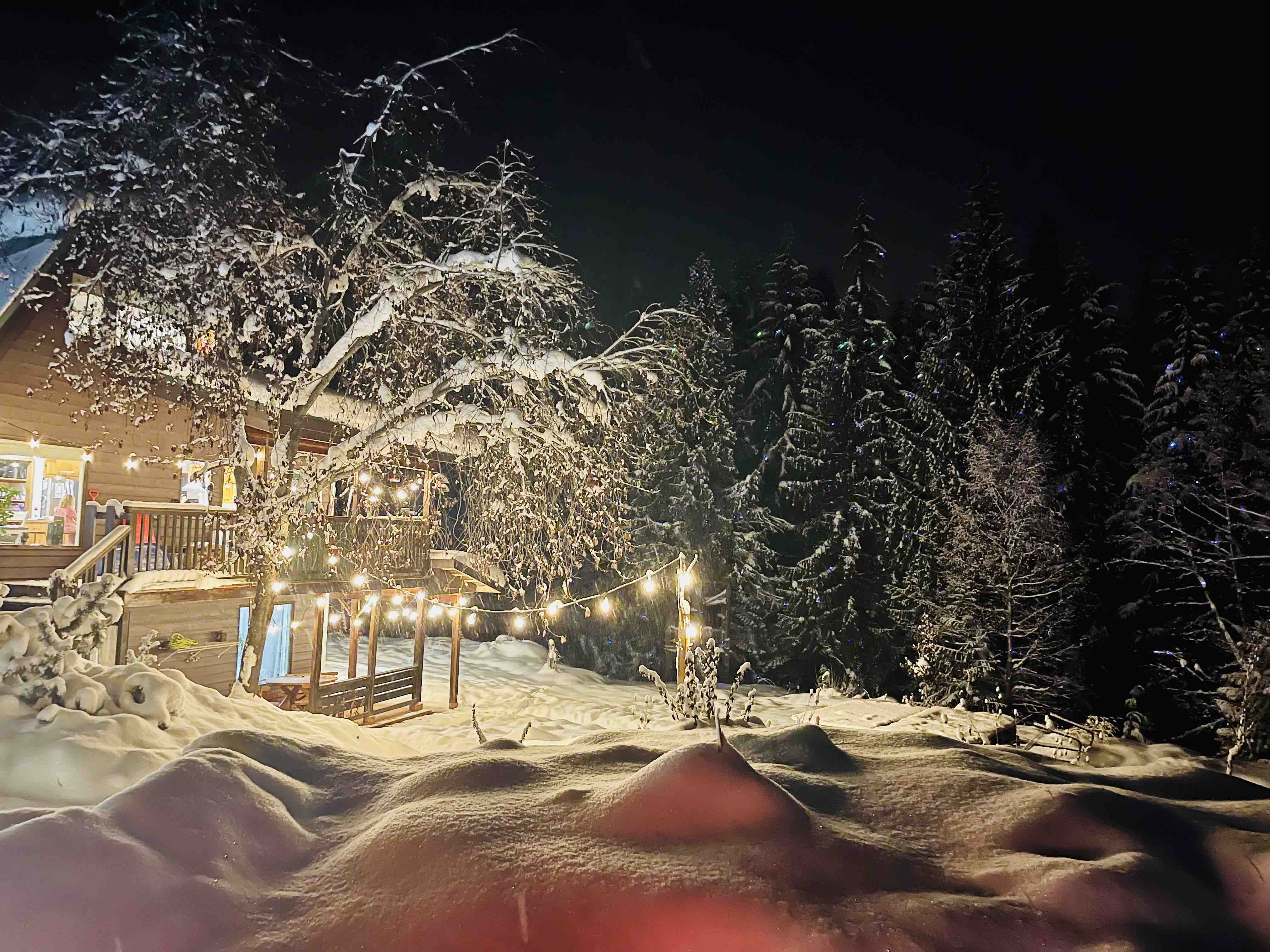 Woolly Bear Acres: 1 BR+Den w HotTub near Red Mnt.