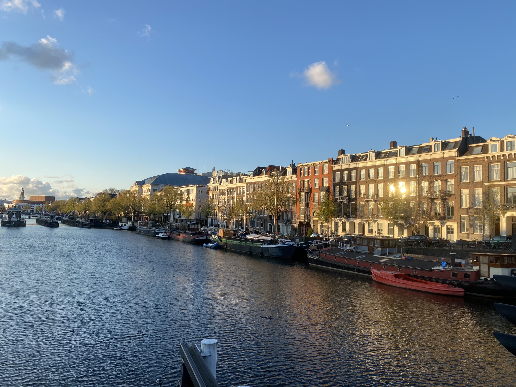 Central and spacious apt with river view + garden — Amsterdam stay