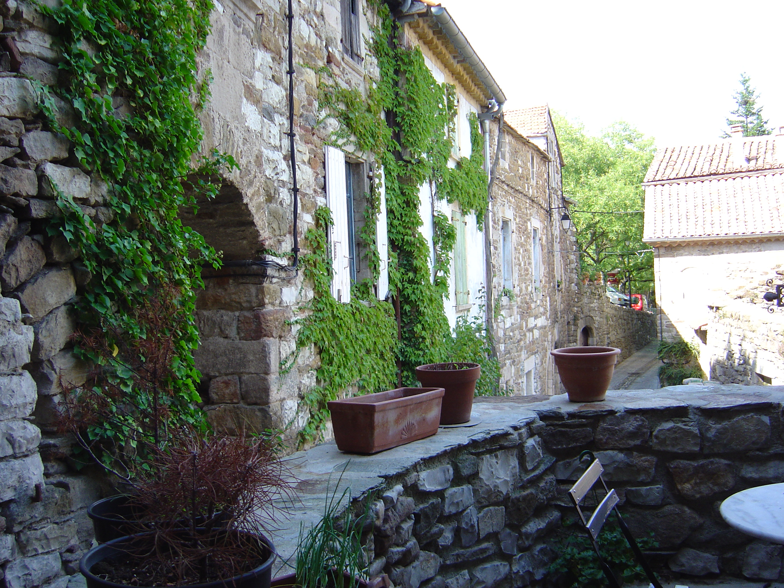Village house 