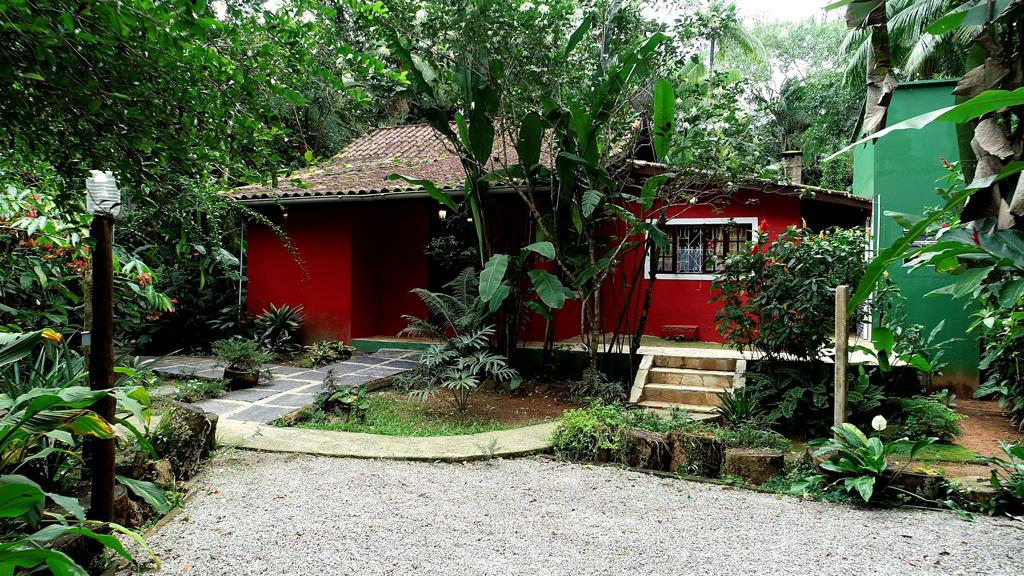 Corner of the forest in the Sertão de Camburi