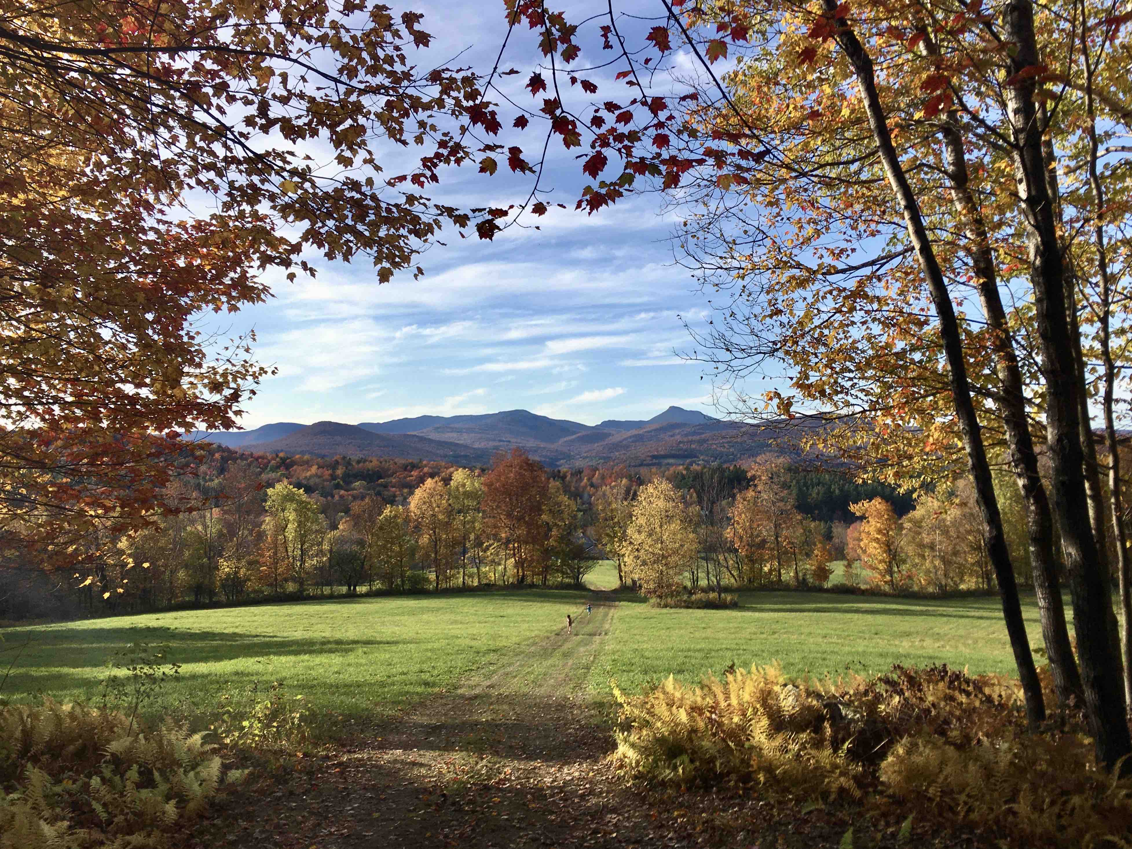 Treehouse at Bliss Ridge Farm Best View in VT Treehouses for Rent