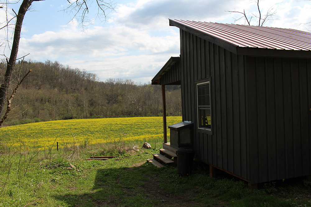 Secluded Tiny “Wild Mustard” Art/Spiritual Retreat Cabins for Rent in Wellsburg, West Virginia
