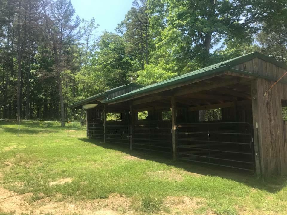 Secluded Ozarks Cabin in the woods Eminence MO Cabins for Rent in