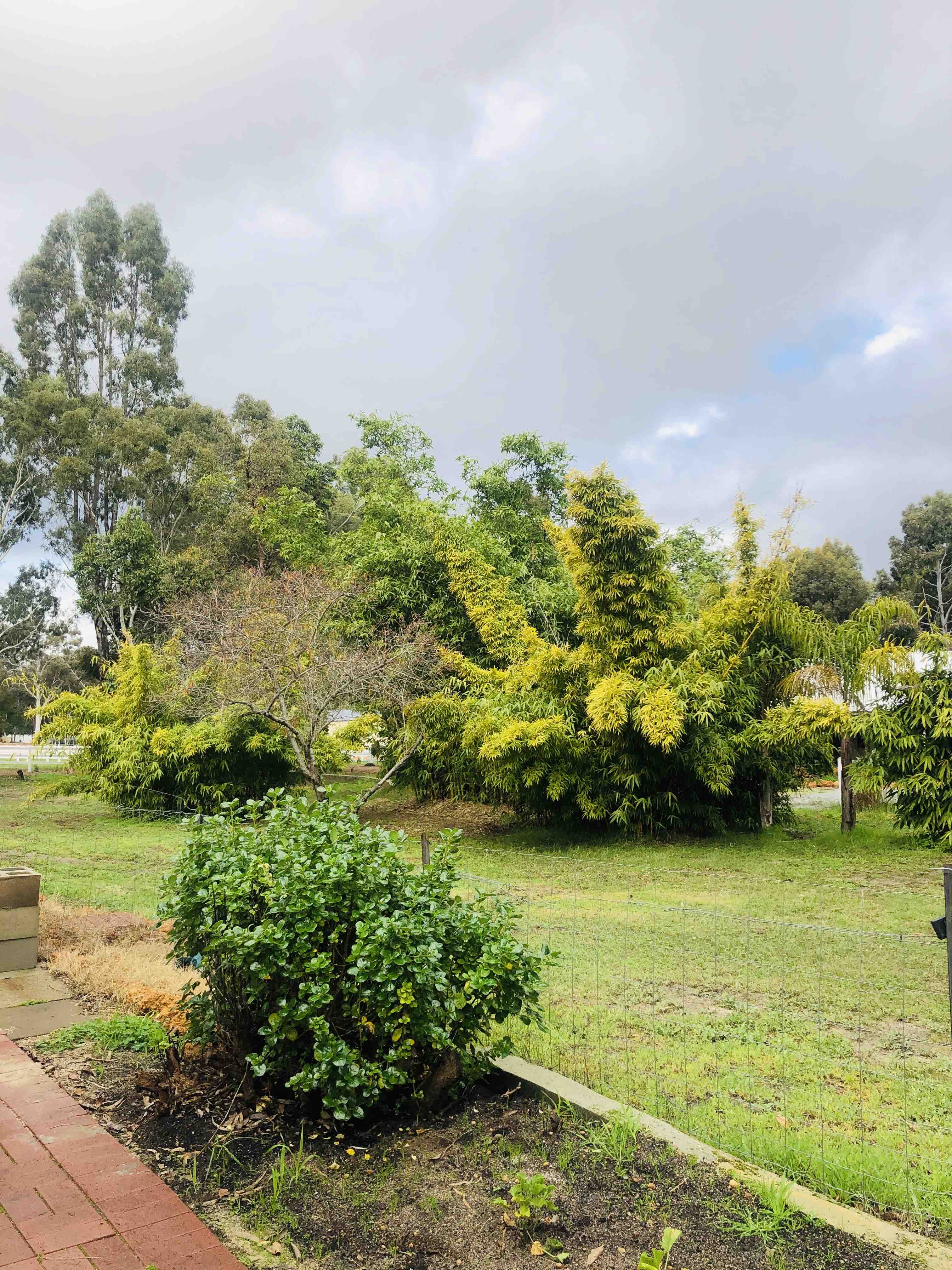 Baker's Hill Giddy Up Selfcontained Guesthouses for