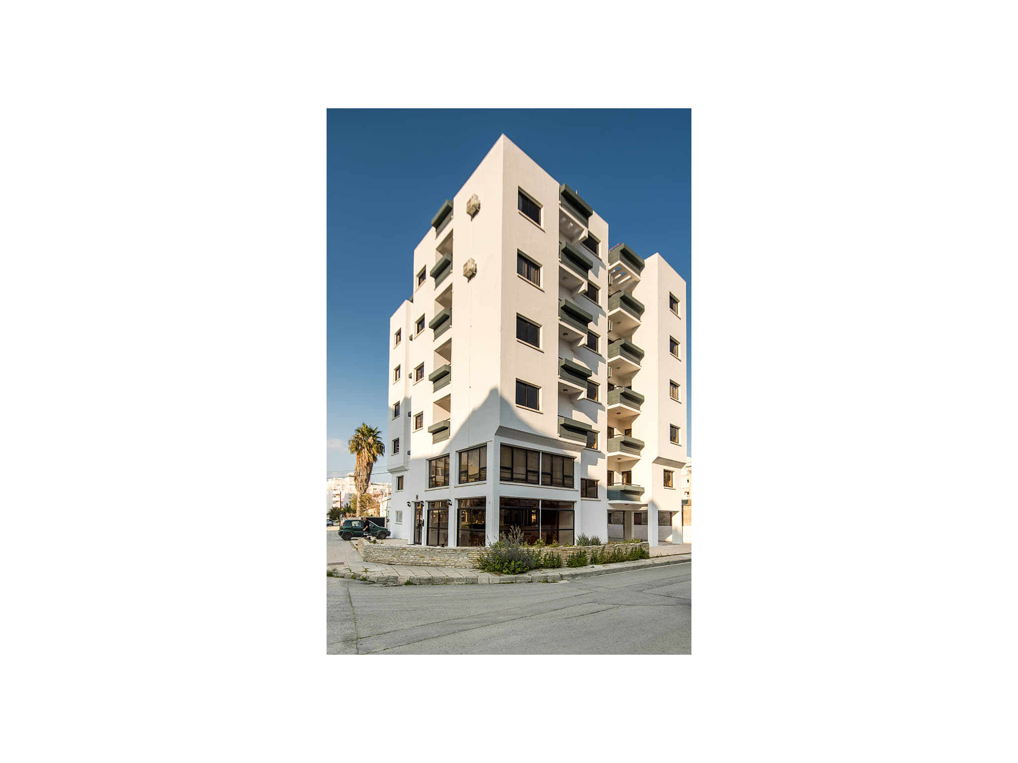 Olive Island 218