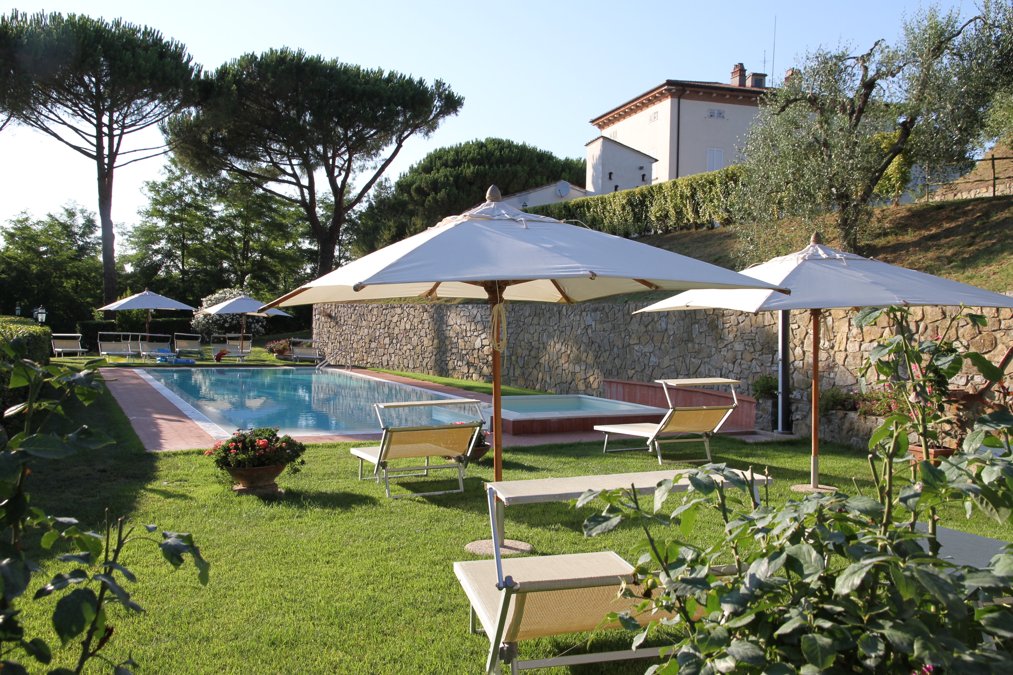 mimosa umbrella base