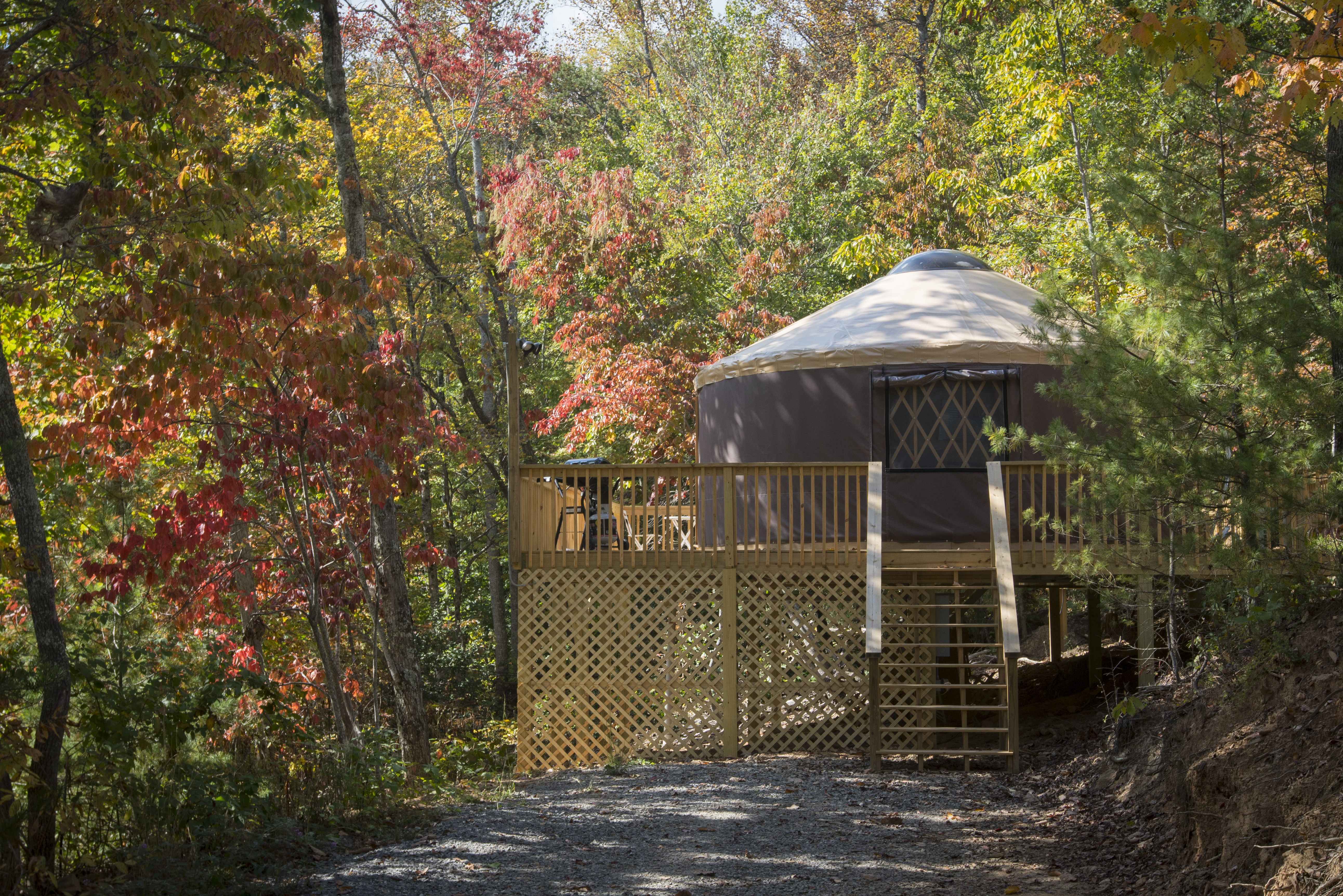 Namaste Yurt, best of both worlds in 28805, Asheville