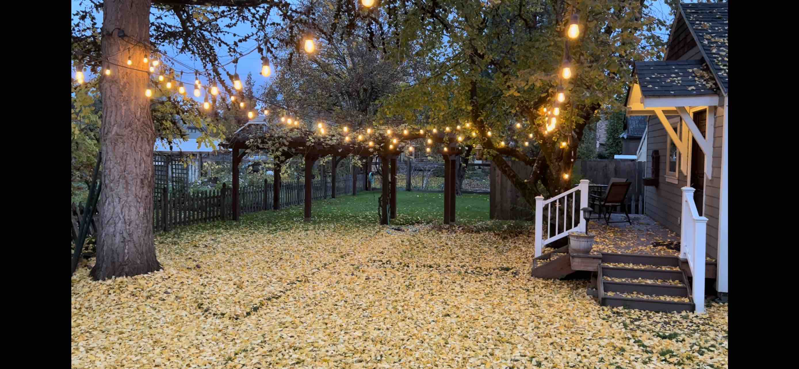 ParkAve Cottage Cozy and walkable to River Paths Guesthouses for