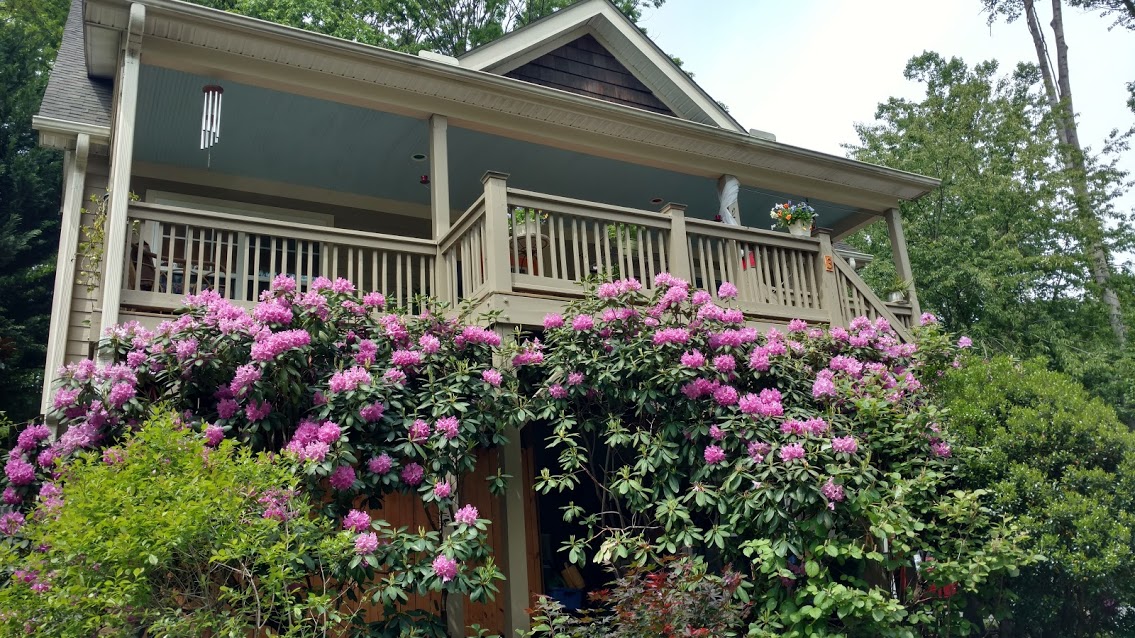 2BR suite near Biltmore, Downtown & Mission Hosp. in 28803, Asheville