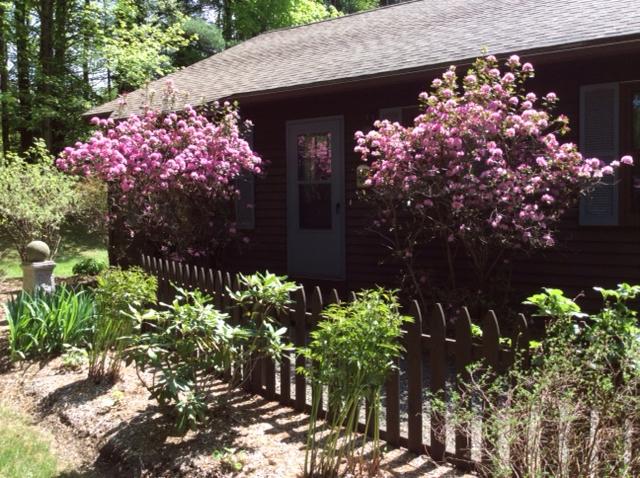 Peaceful 2 BR apartment minutes from Tanglewood