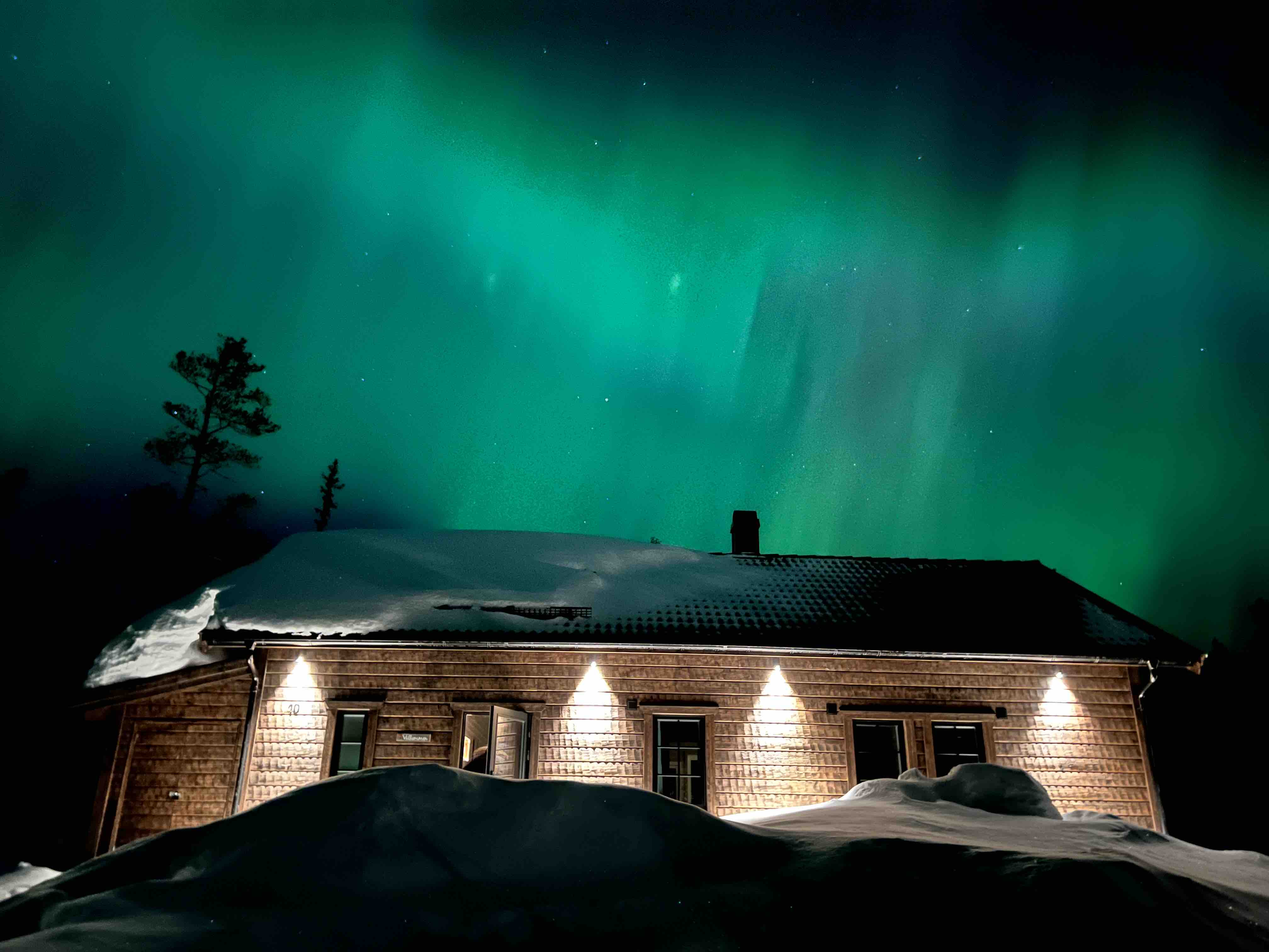 Newly built cabin near hiking trails and bike trails