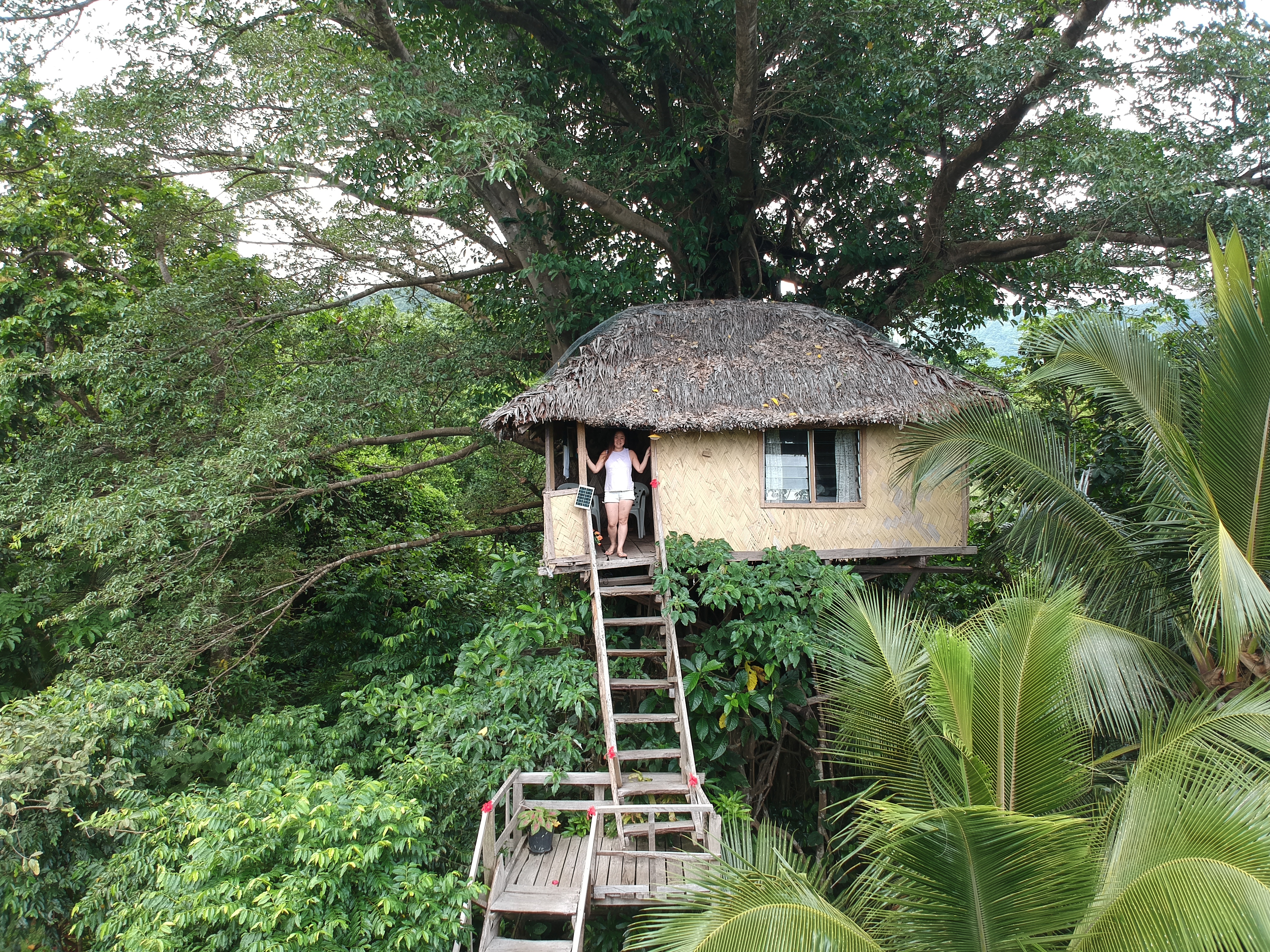 Jungle tree house with volcano view 