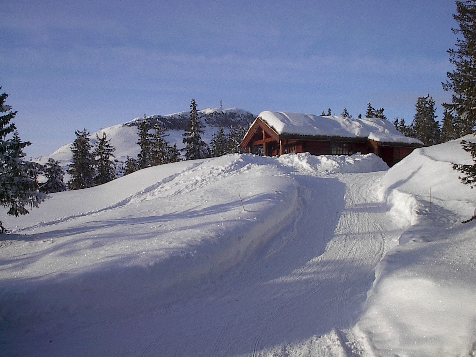 Homely cabin at Skeikampen with sauna!