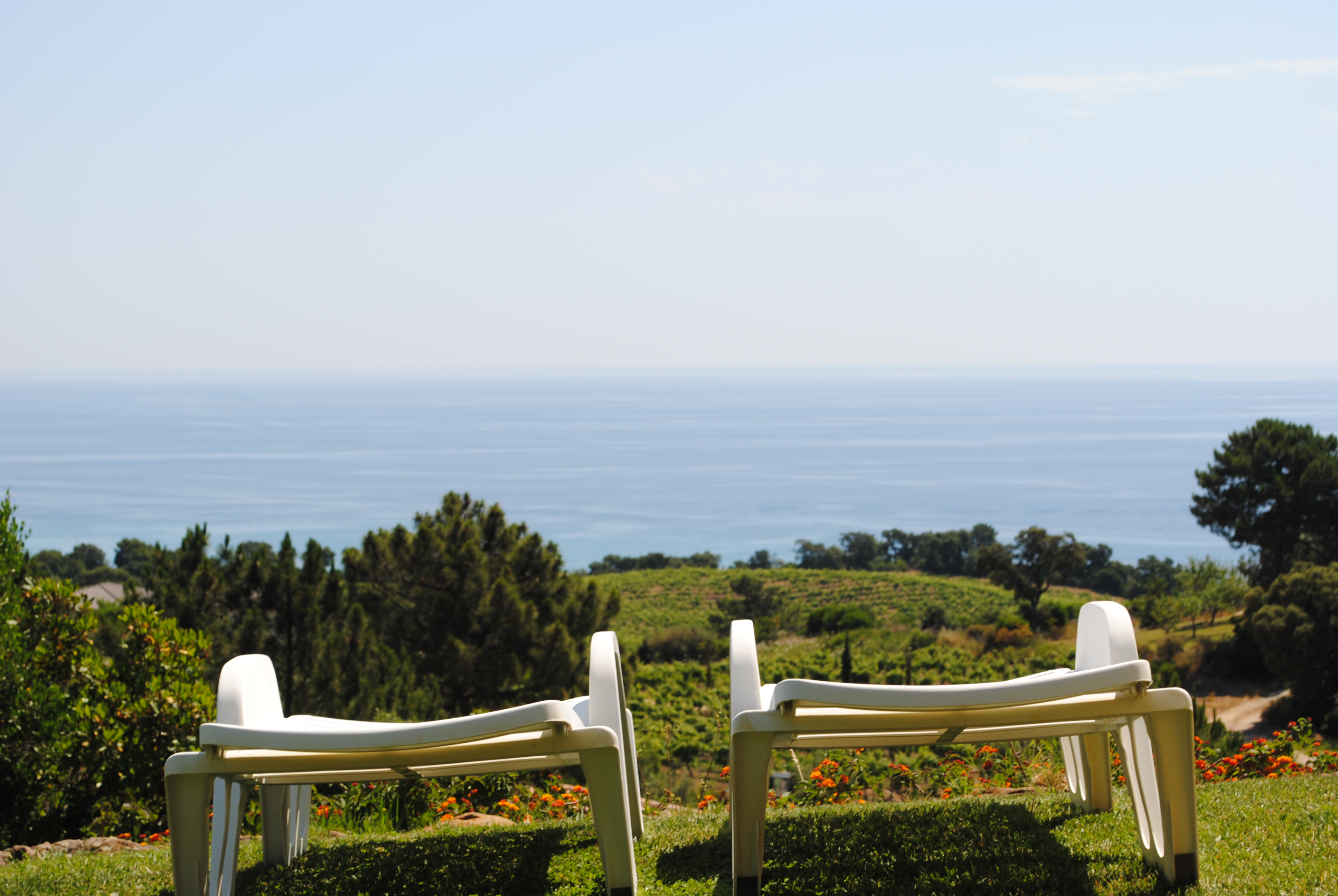 Villa Niellucciu 62 m2 in the heart of the vineyards
