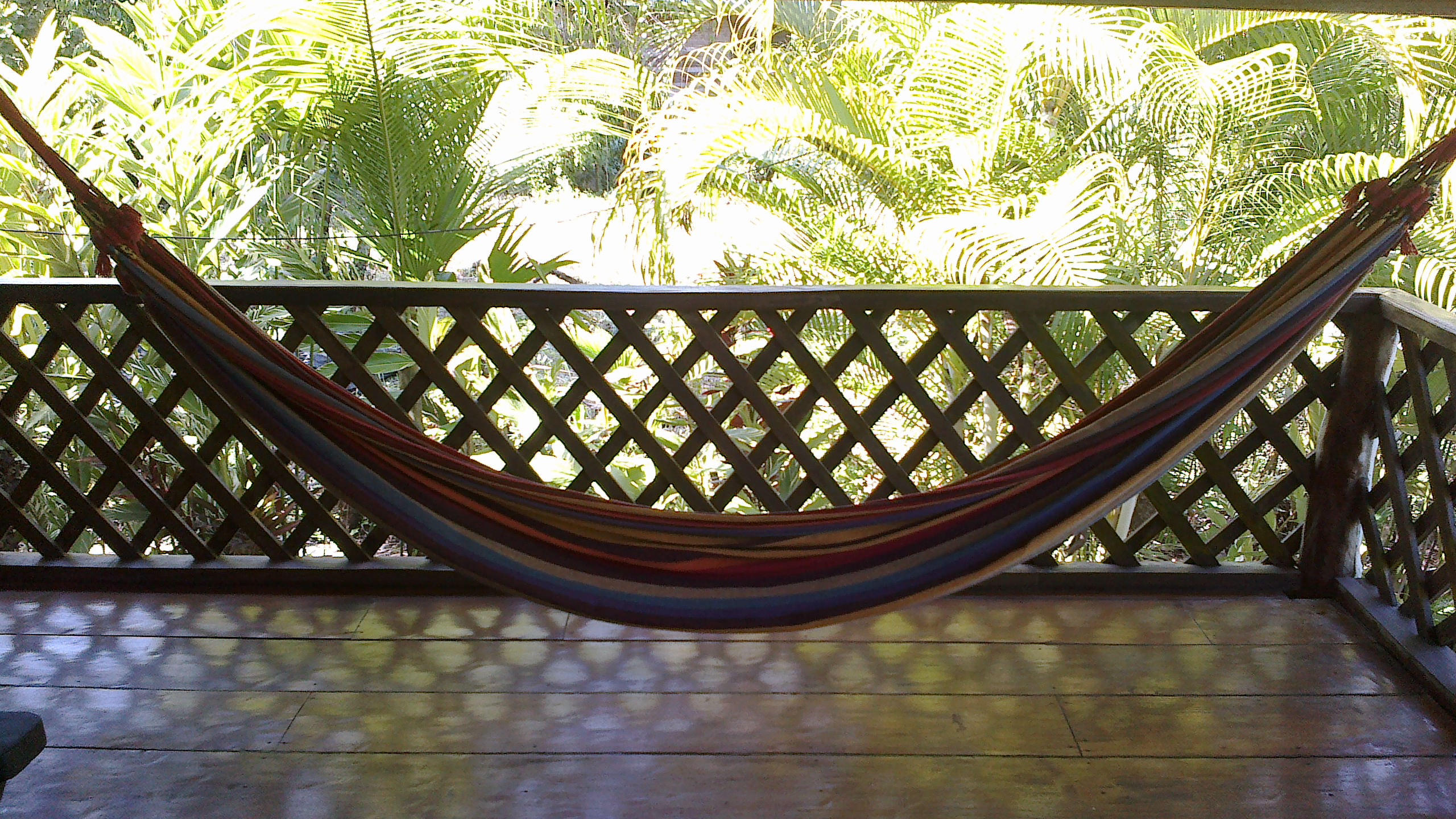 100 meters from the beach Apartment in the jungle