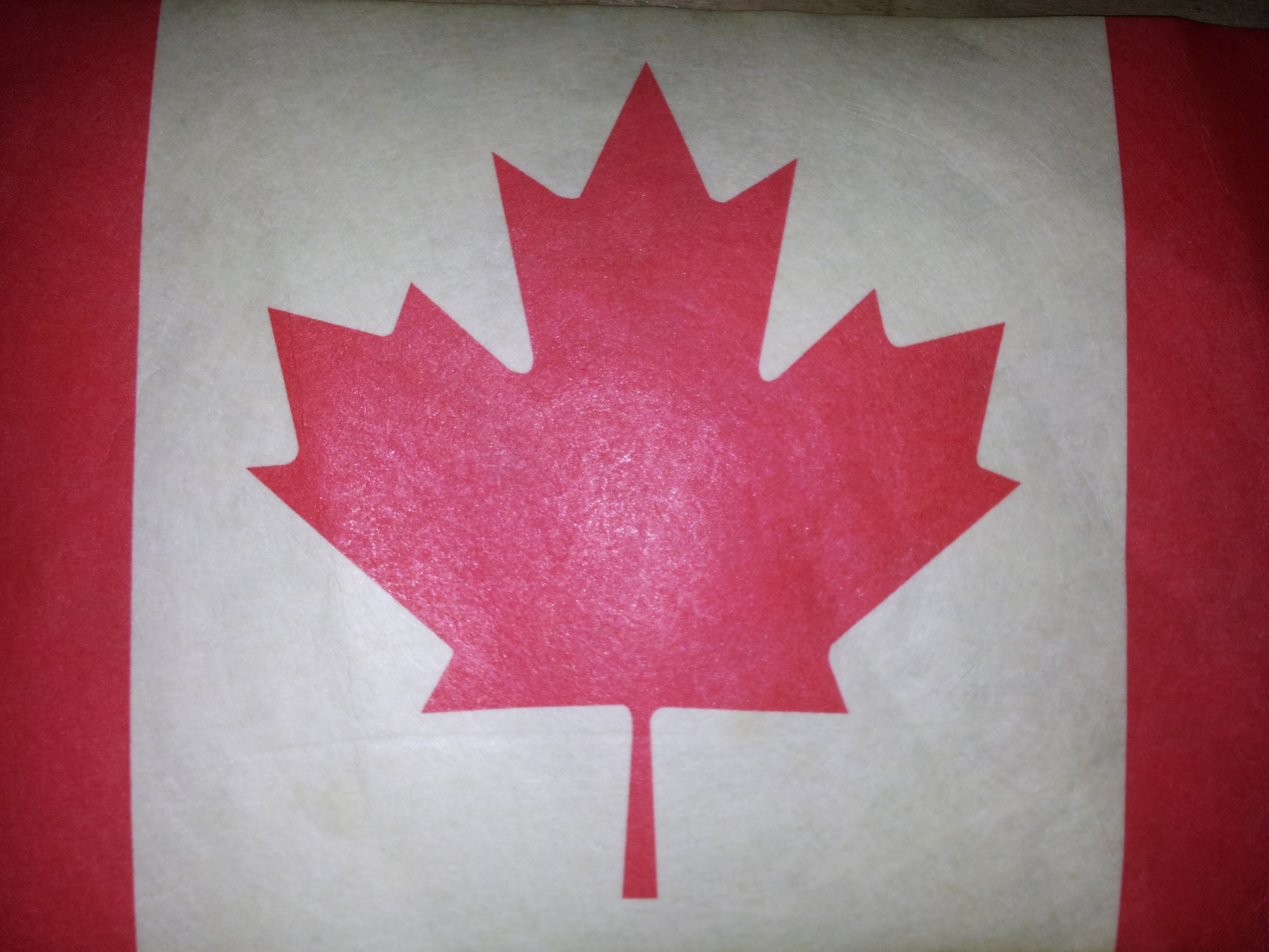 Canadian-shack
