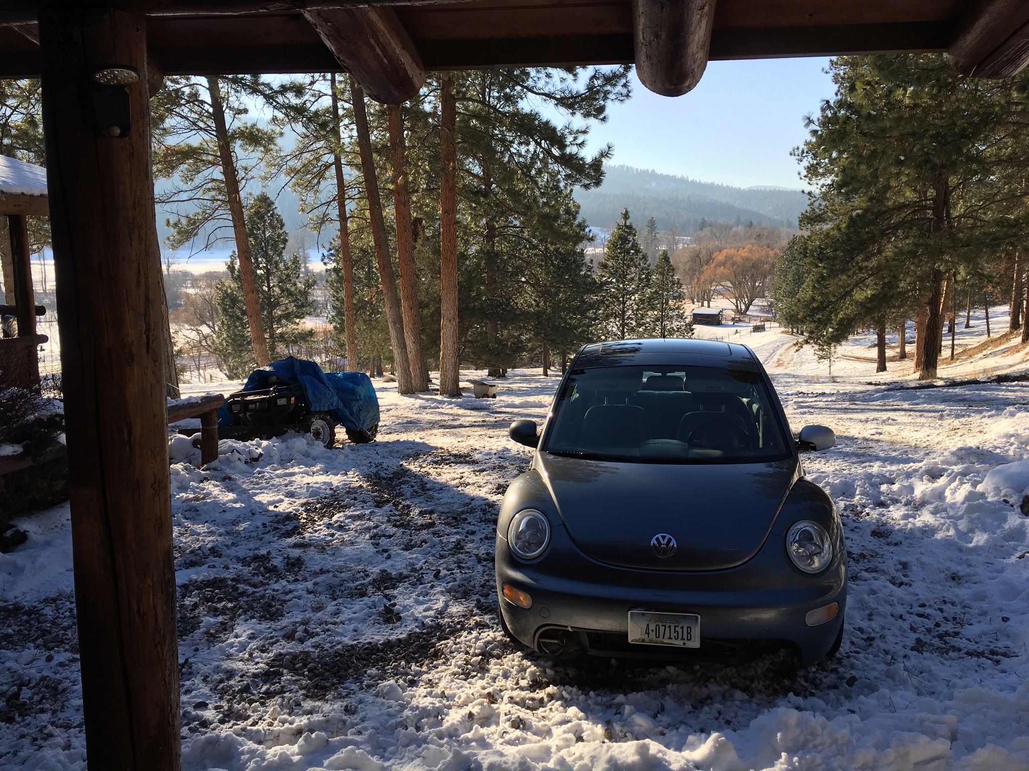 Log cabin nestled in the mountainsides Guesthouses for Rent in Lolo