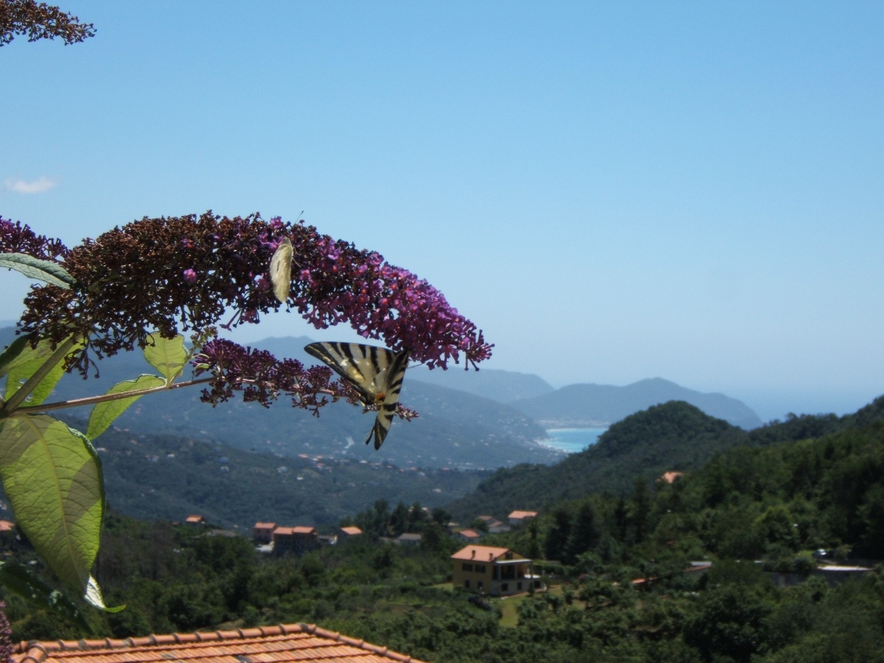 Relaxing between hills and sea!