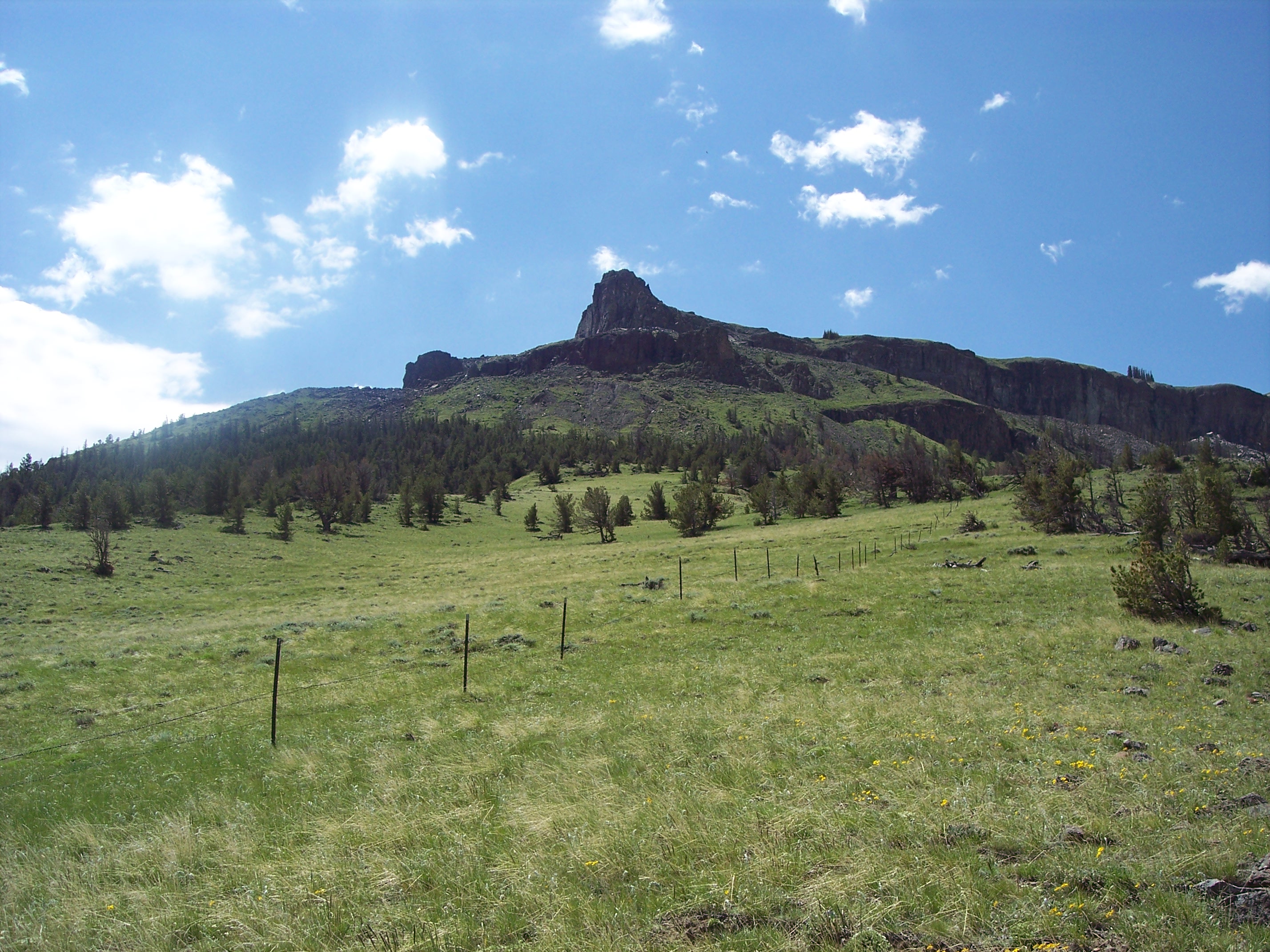 Homestead Ranch Cabins for Rent in Meeteetse, Wyoming, United States Airbnb