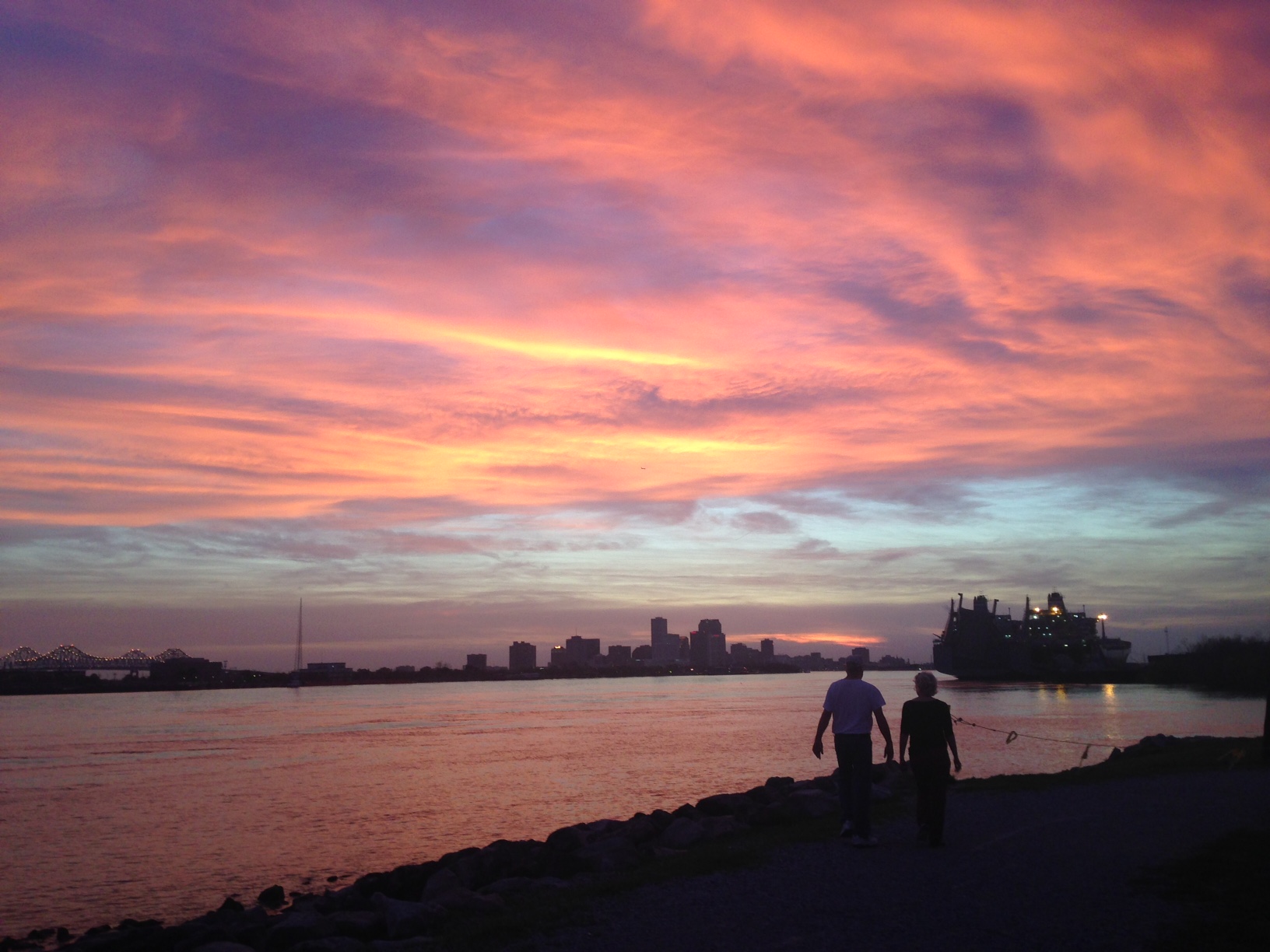 GUEST WING BY THE RIVER ~2 Q Bedrooms — rentals in Holy Cross, New Orleans