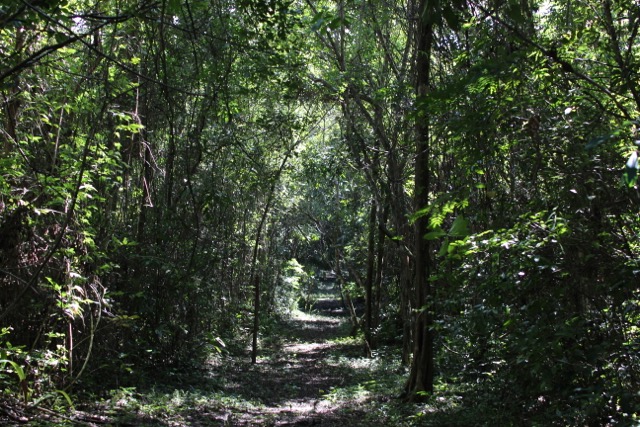 Comfortable and Ecological Camping in Cayo, Belize